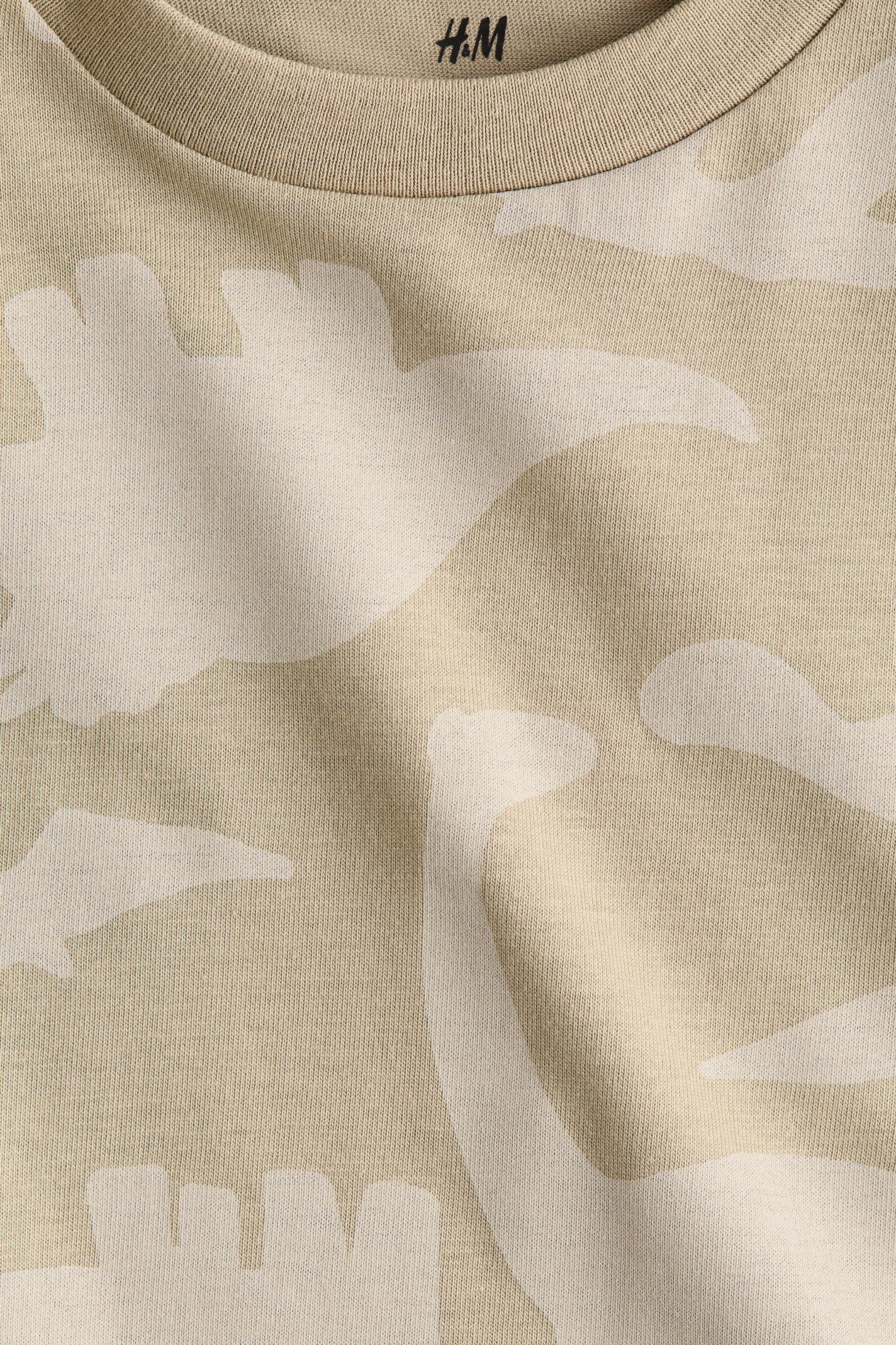 View larger image: Printed cotton T-shirt - Beige/Dinosaurs - Kids | H&M SG 6