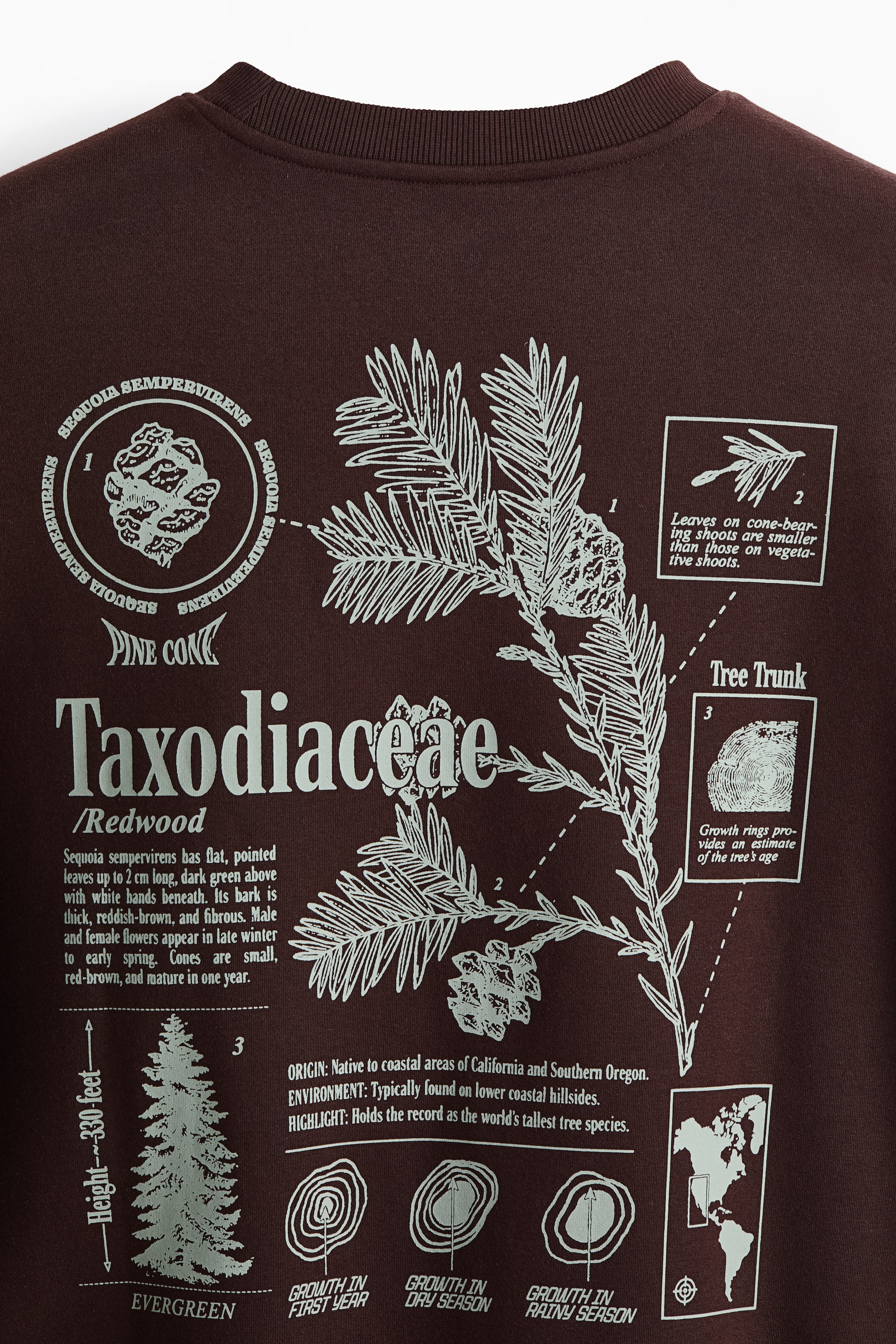 Visa större bild: Sweatshirt med tryck Loose Fit - Mörkbrun/Taxodiaceae - HERR | H&M SE 2