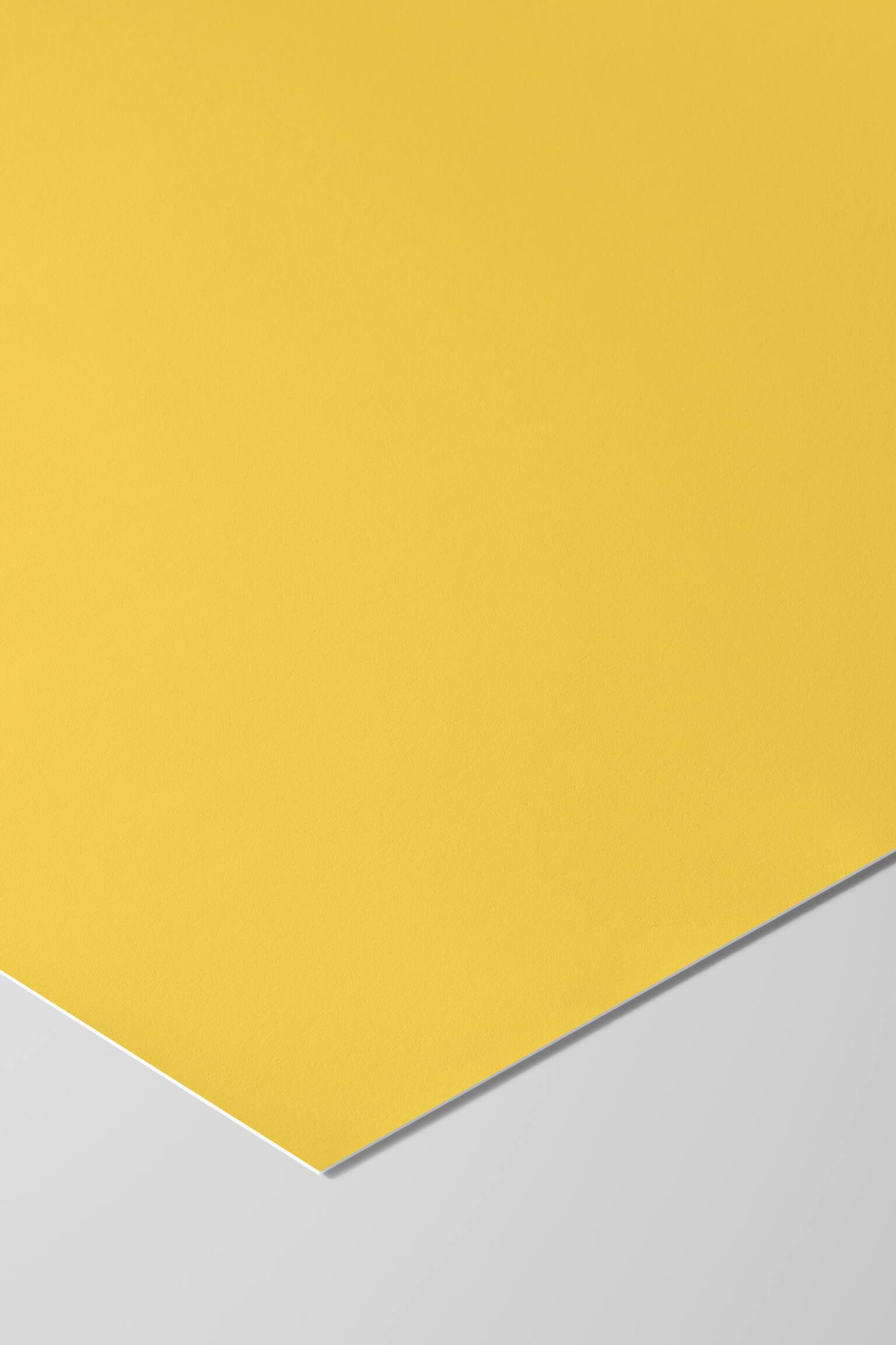 Plty - St - Banana Split - Text Mit „banane“ - 3