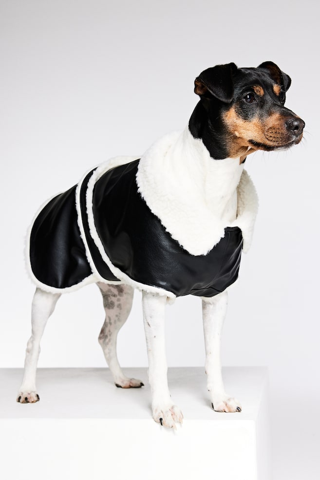 Teddy-lined dog jacket - Black - 5