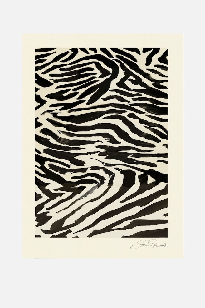 Sissan Richardt - Zebra Study - Wielobarwność - 1