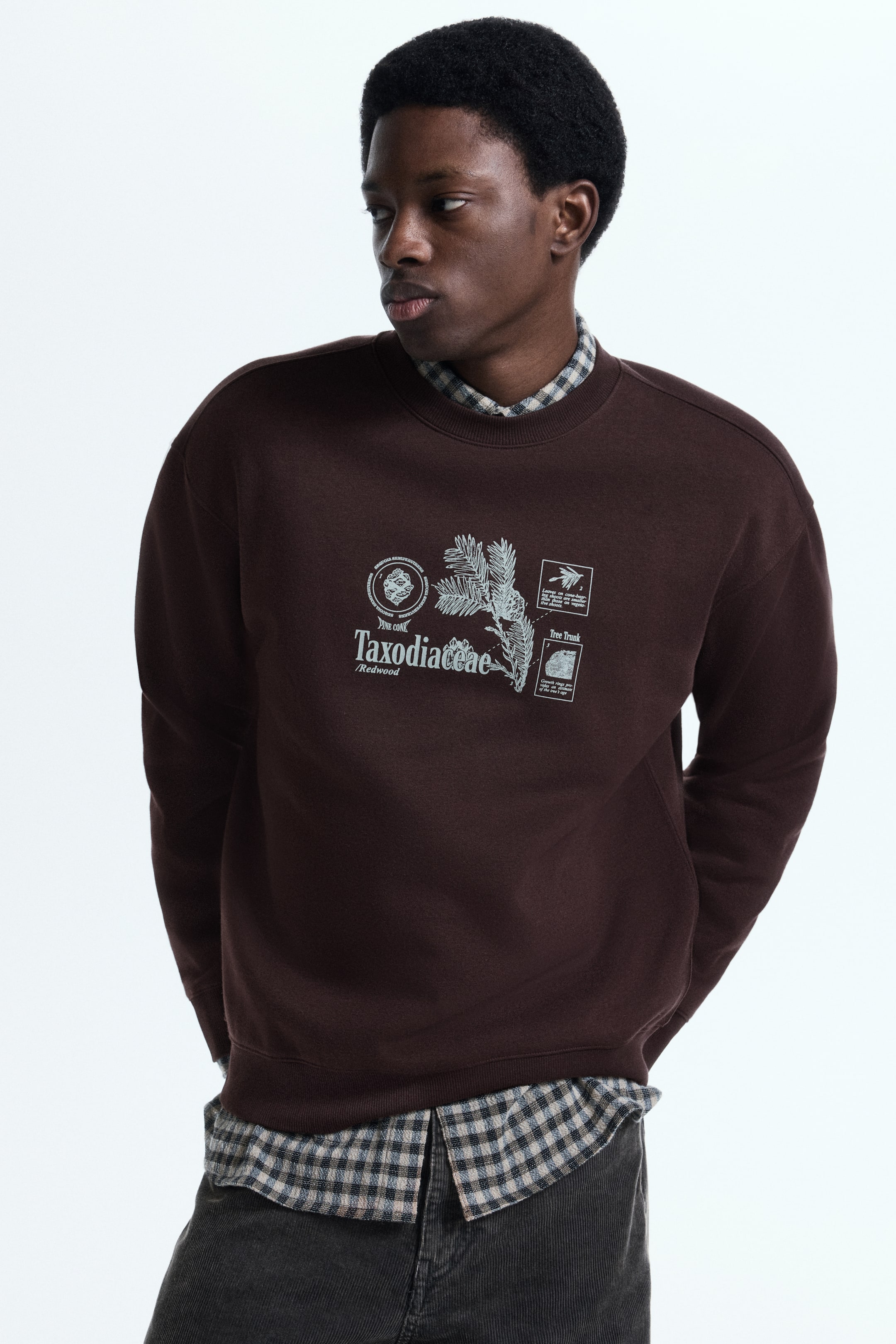 Se større billede: Sweatshirt med tryk Loose Fit - Mørkebrun/Taxodiaceae - HERRE | H&M DK 3