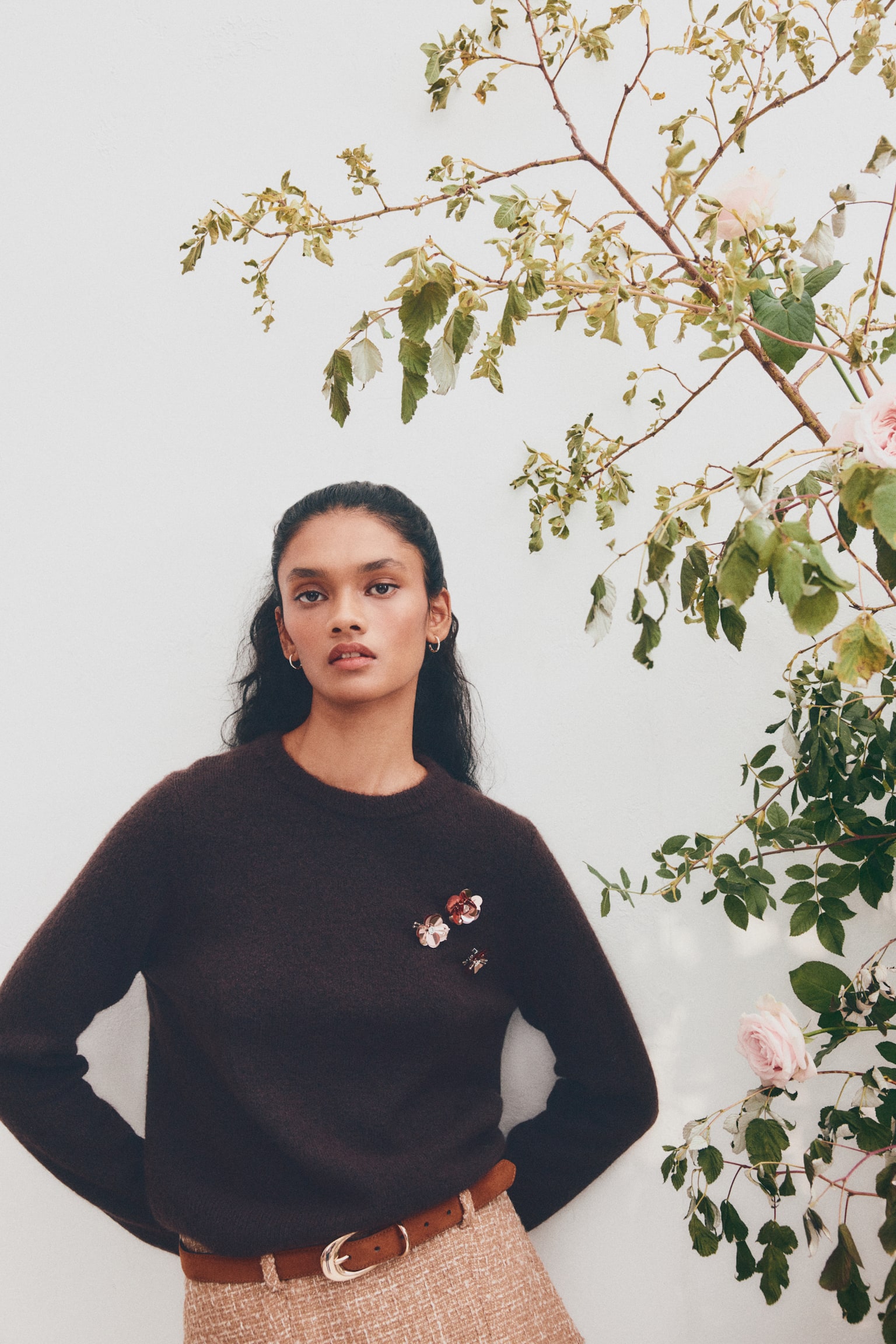 Embellished jumper - Dark brown - 6