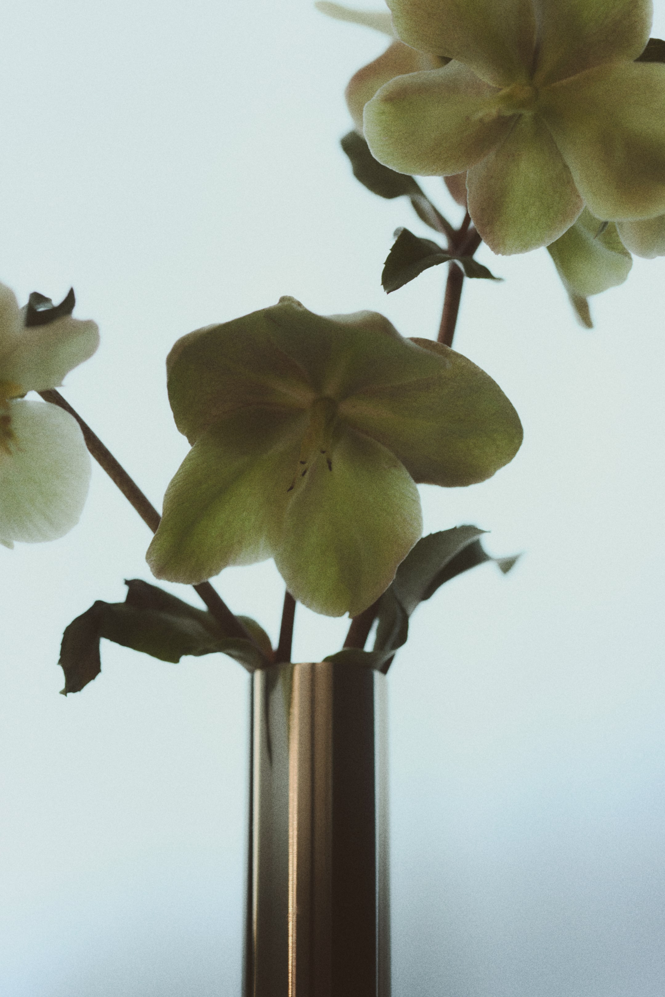 Visa större bild: Hög singelvas i rostfritt stål - Silver - Home All | H&M SE 1