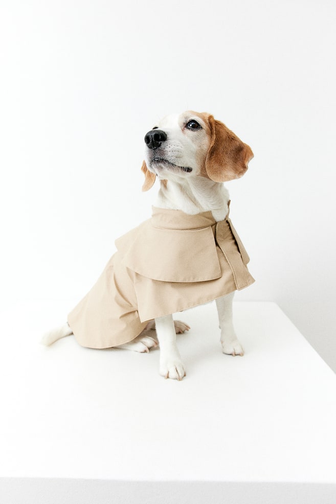 Dog trench coat - Beige - 4