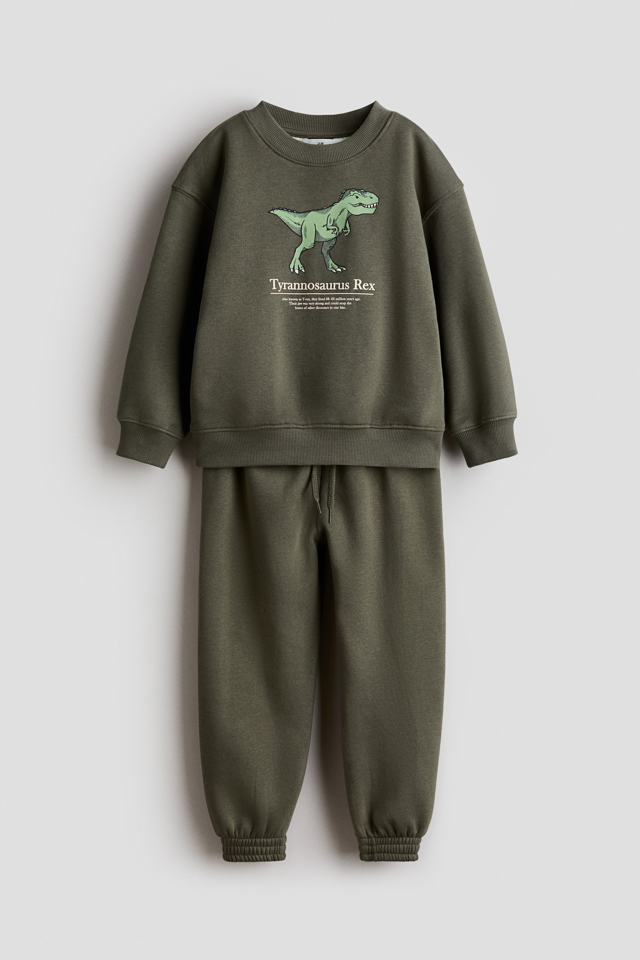 View larger image: An olive green children's tracksuit is showcased from the front, comprising a sweatshirt and matching track pants. The sweatshirt features a crew neck, ribbed cuffs, and a ribbed hem, with a green Tyrannosaurus Rex graphic print and text on the chest. The track pants display a drawstring waist and ribbed cuffs.