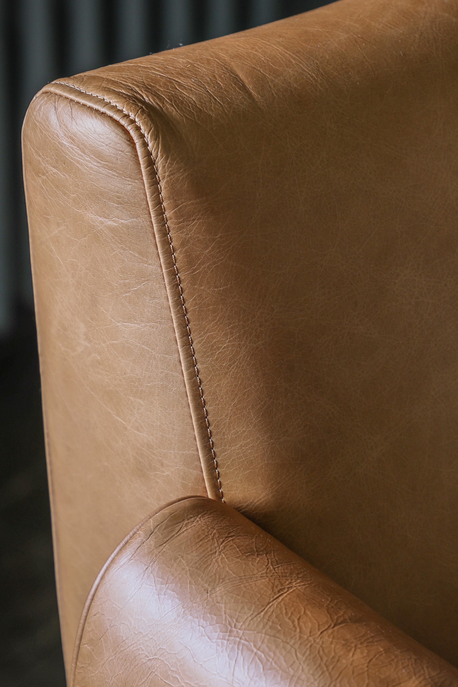 Leather Armchair - Tan - 7