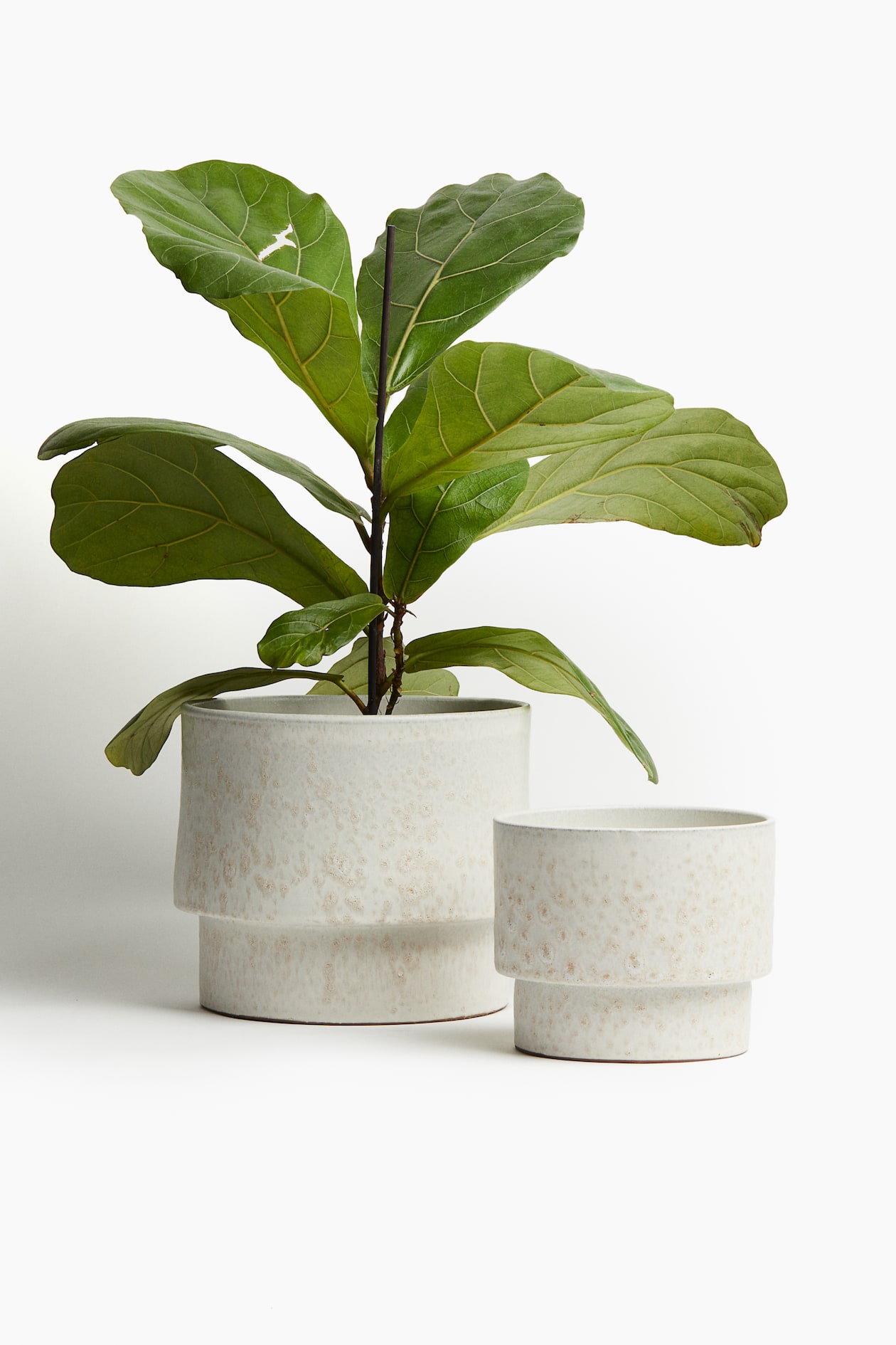 extra-large-terracotta-plant-pot-white-patterned-home-all-h-m-gb