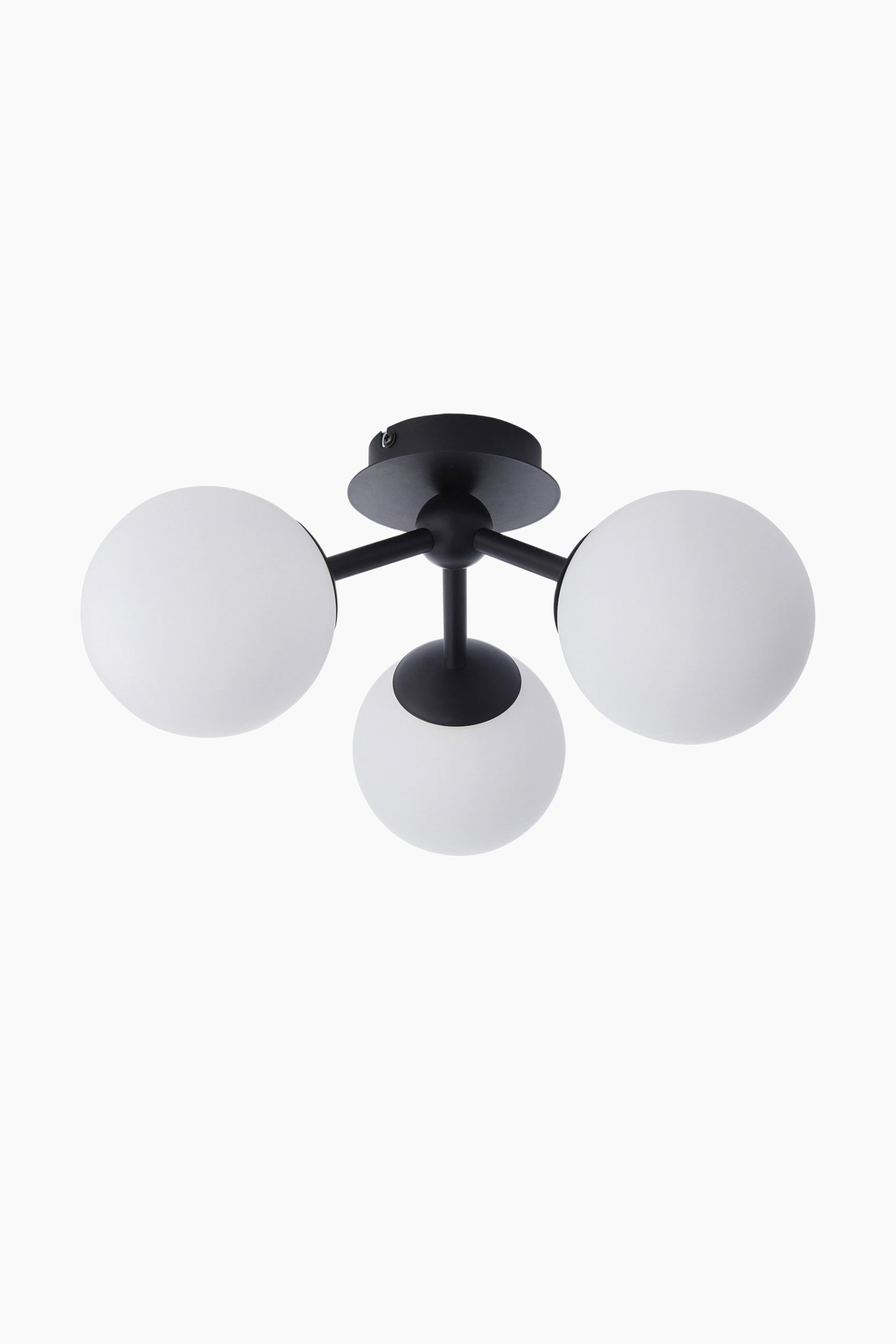 View larger image: A ceiling light fitting featuring a black circular canopy from which three black arms extend. Each arm supports a white spherical glass shade, creating a branching design.