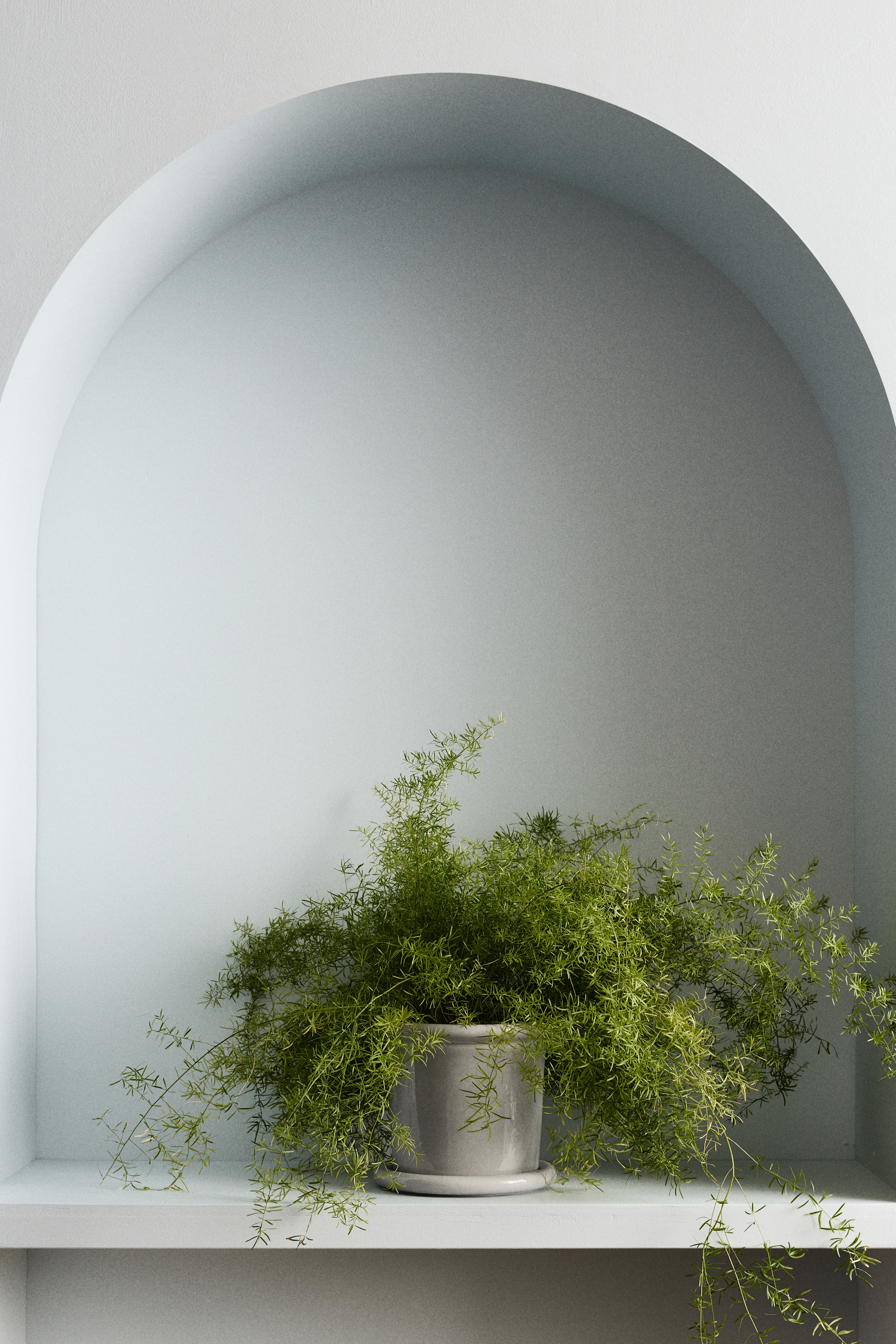 Light yellow Large Stoneware Plant Pot with Saucer at H&M Home