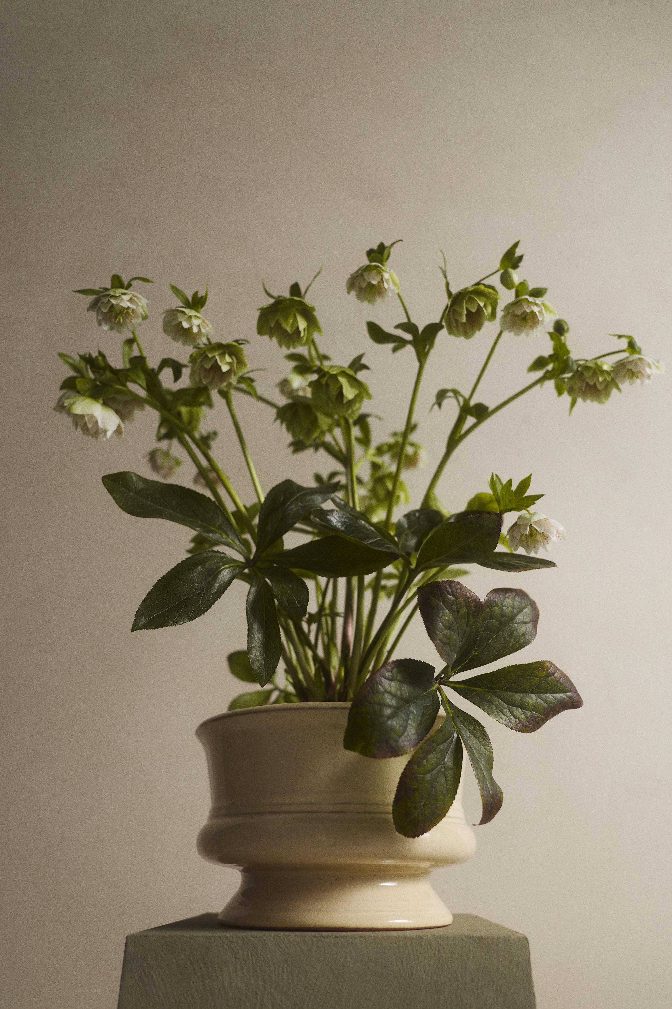 Vase large en terre cuite avec glaçure réactive - Beige clair