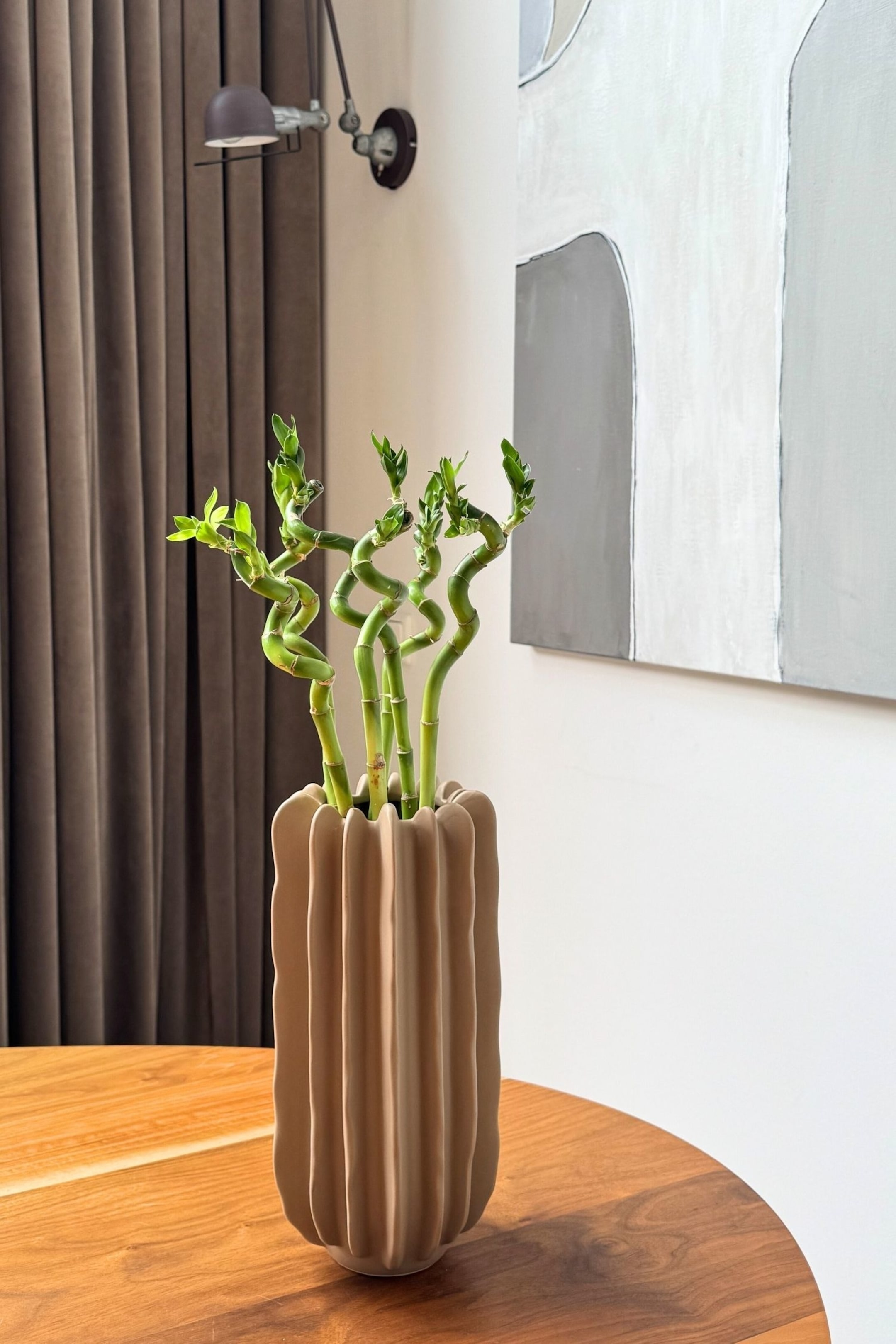 Visualizza immagine più grande: Spirali Lucky Bamboo - Set Di 6 - H 40cm - Plant in a Box - HOME | H&M IT 1