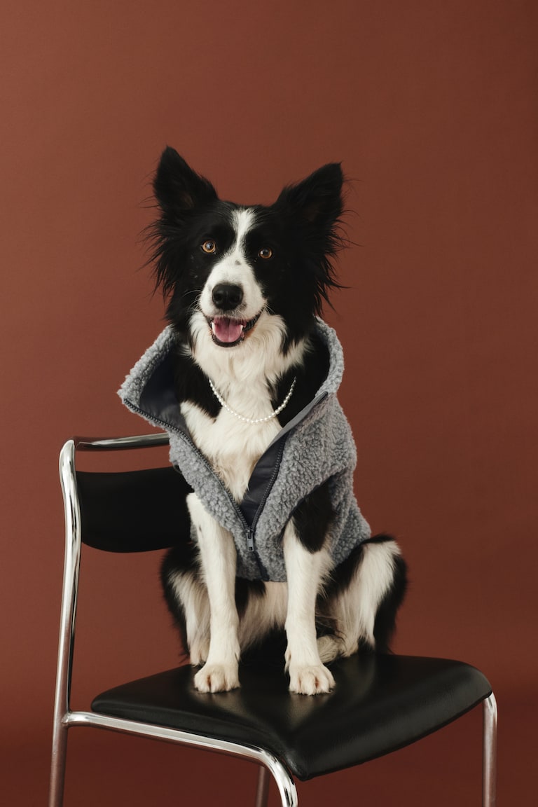 Pluszowa kurtka dla psa