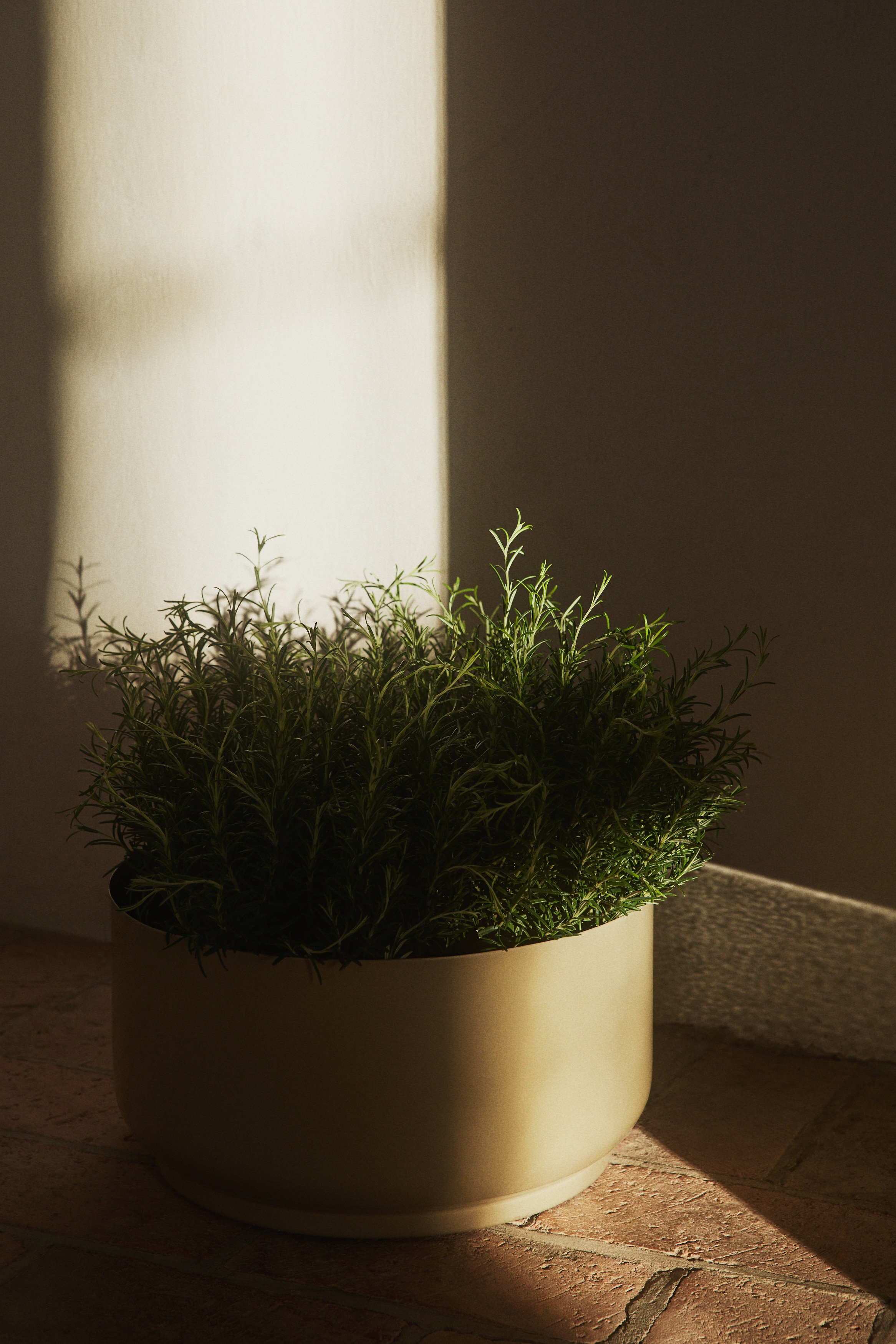 Wide Plant Pot in Metal - Sand beige/Green/Dark brown