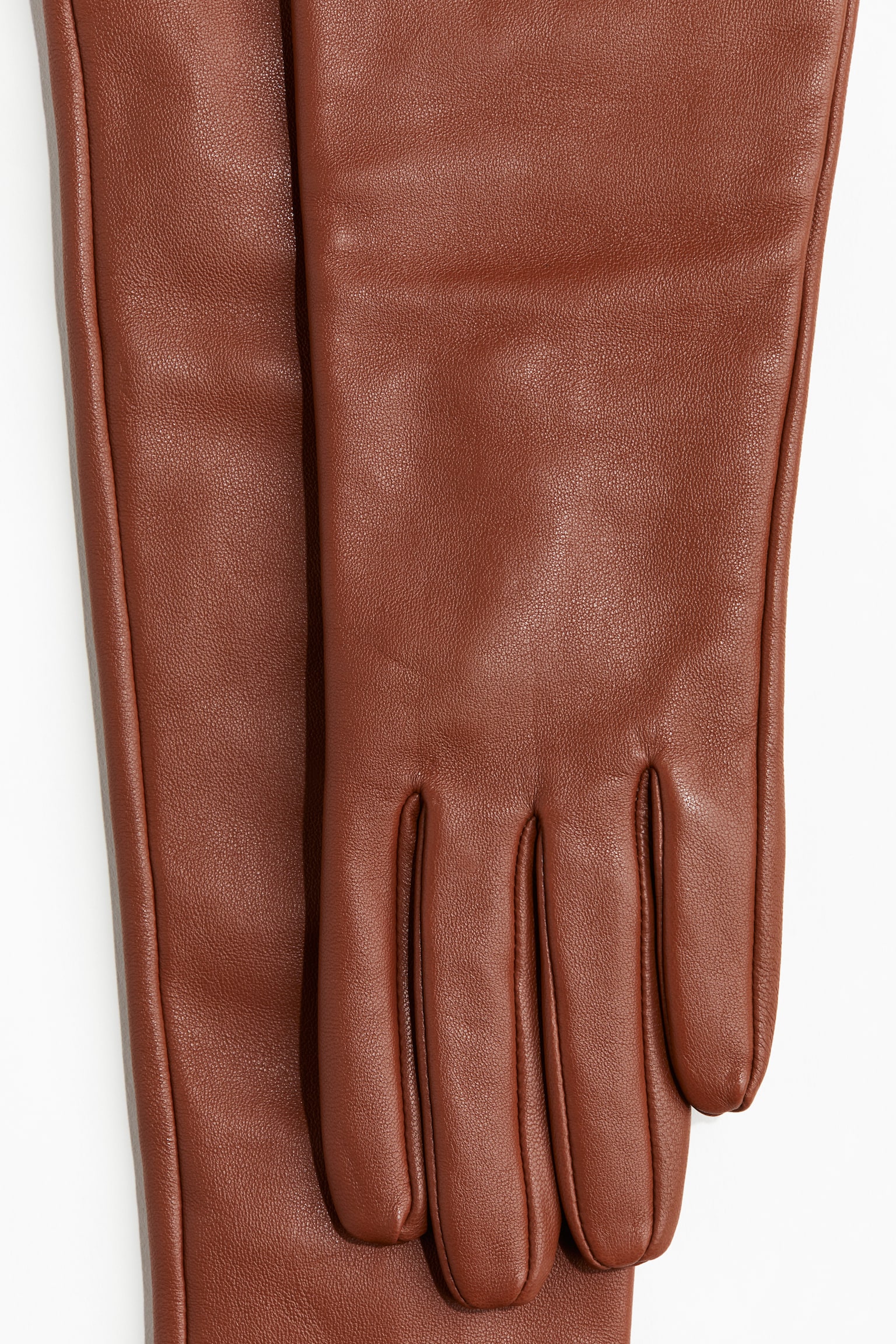 Long leather gloves - Brown/Brown-green - 2