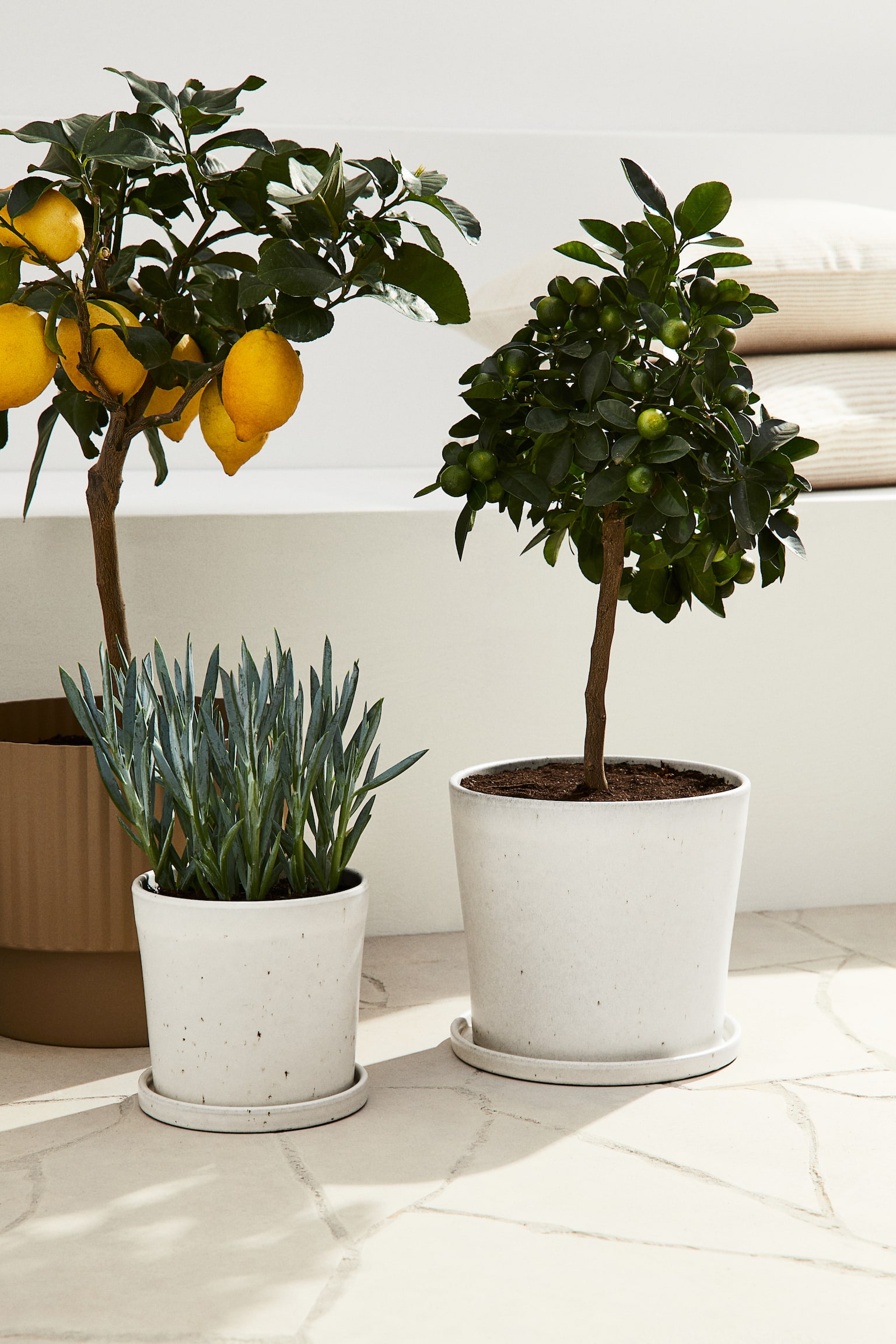 Large plant pot and saucer - White/Speckled - 2