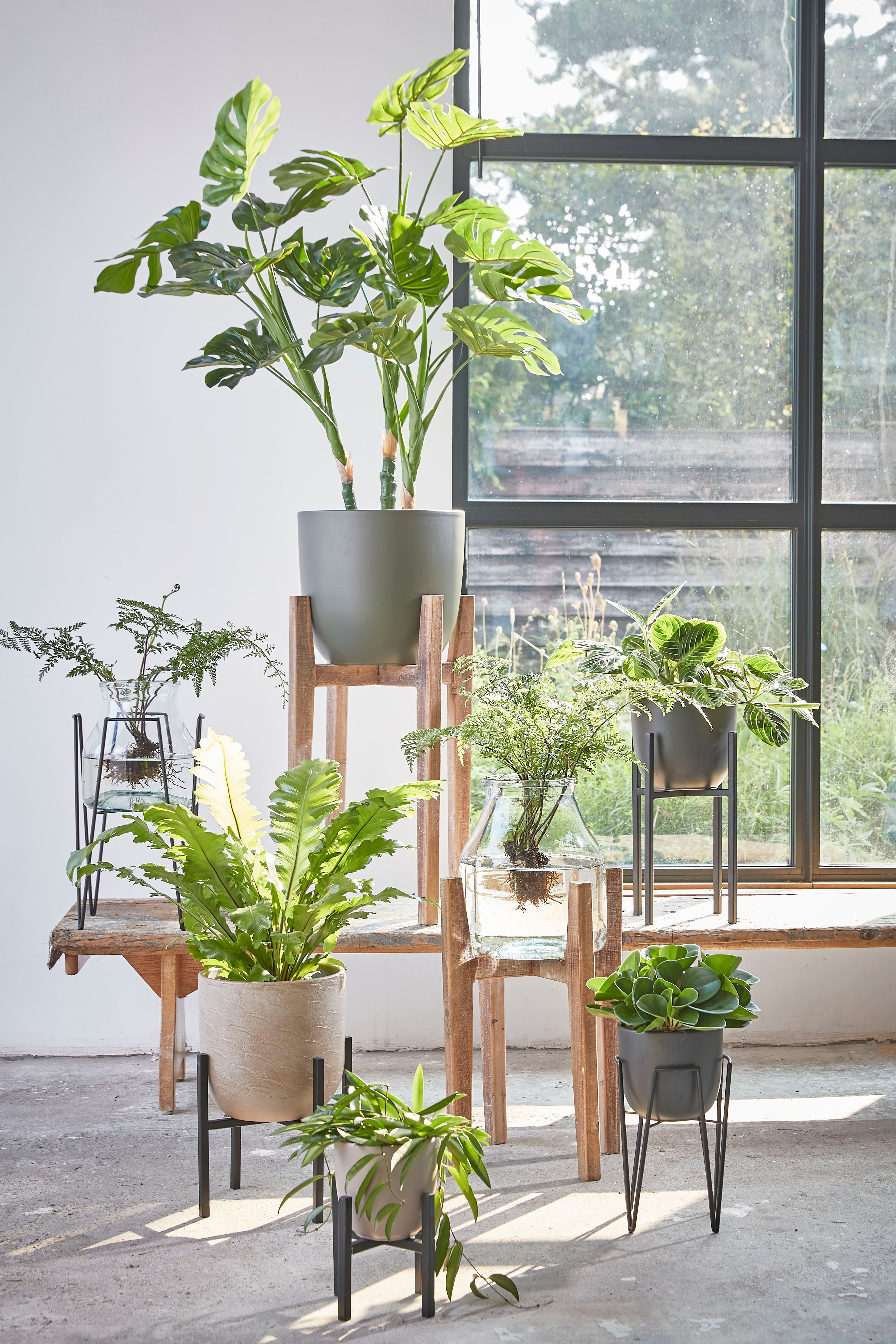 Monstera Kunstpflanze - Grün