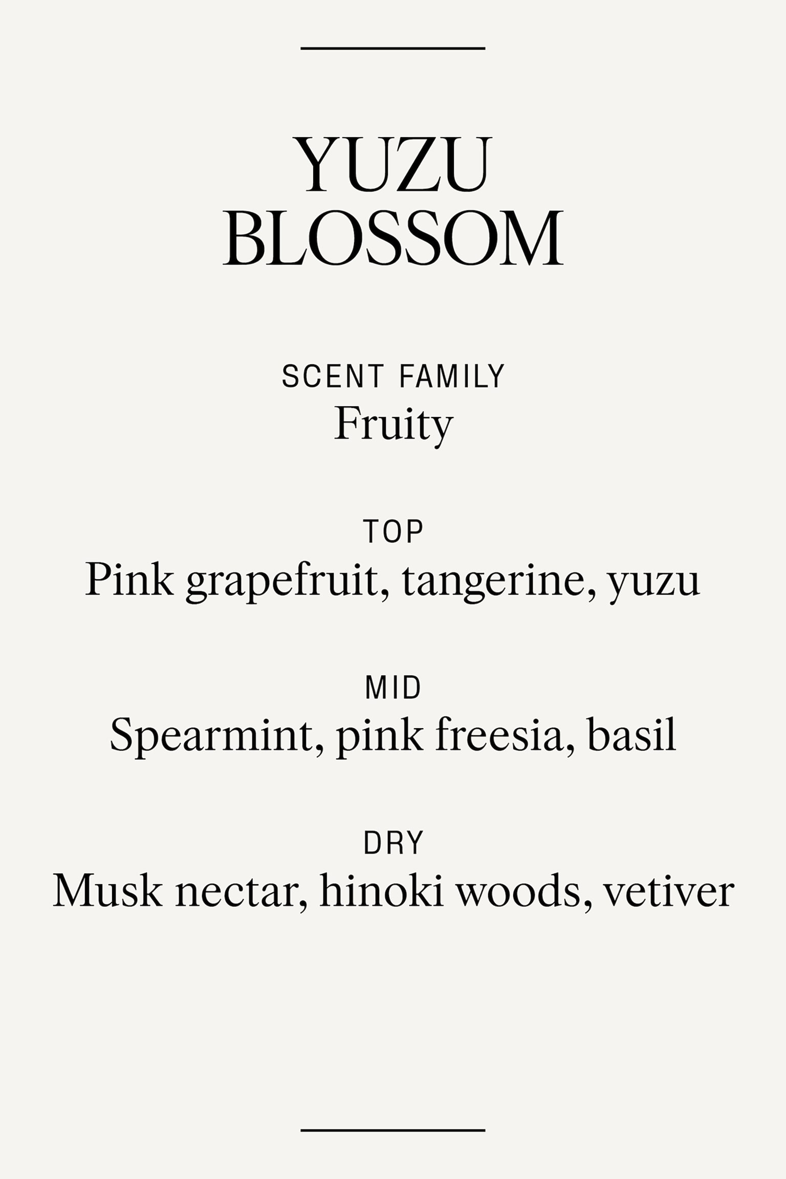 Reed Diffuser - Yuzu Blossom/Winter Spices/Oud Mémoire/Untamed Rose/Cilantro Bliss - 4