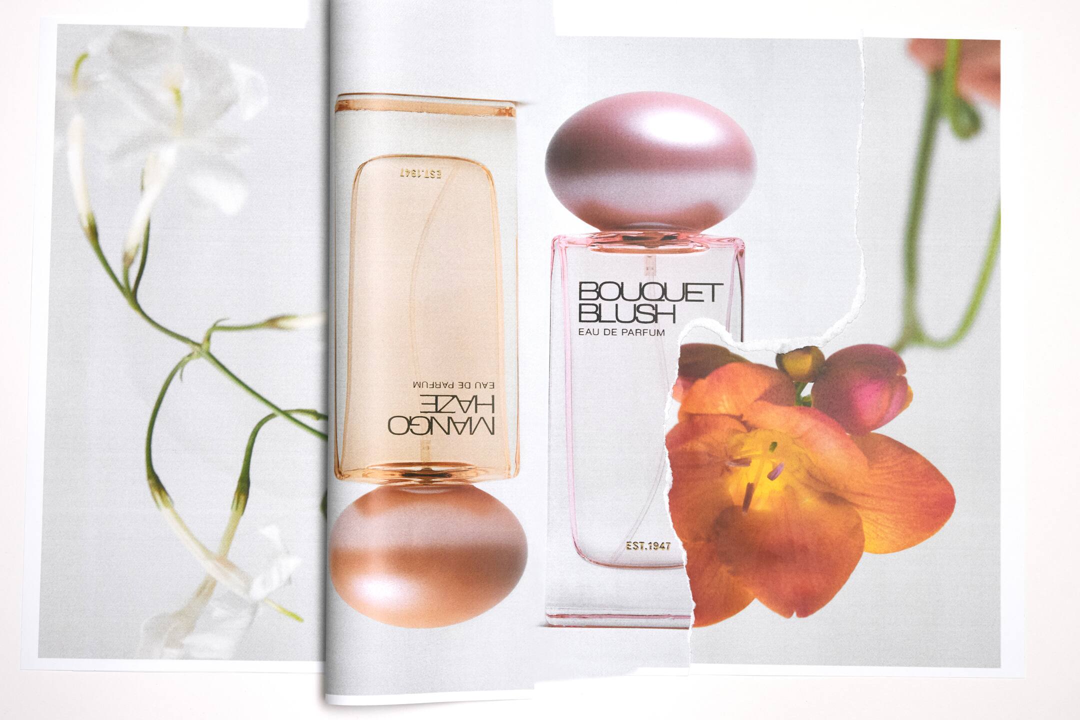 Visa större bild: Den framifrån visade Mango Haze Eau De Parfum-flaskan visas upp och ner till vänster med ett bronsfärgat, kupolformat lock längst ned, medan den framifrån visade Bouquet Blush Eau De Parfum-flaskan står upprätt till höger med ett metalliskt rosa, kupolformat lock. Stiliserade blomillustrationer, inklusive vita blommor till vänster och en livfull orange blomma till höger, överlappar parfymflaskorna i en lager-på-lager-komposition med rivet papper.