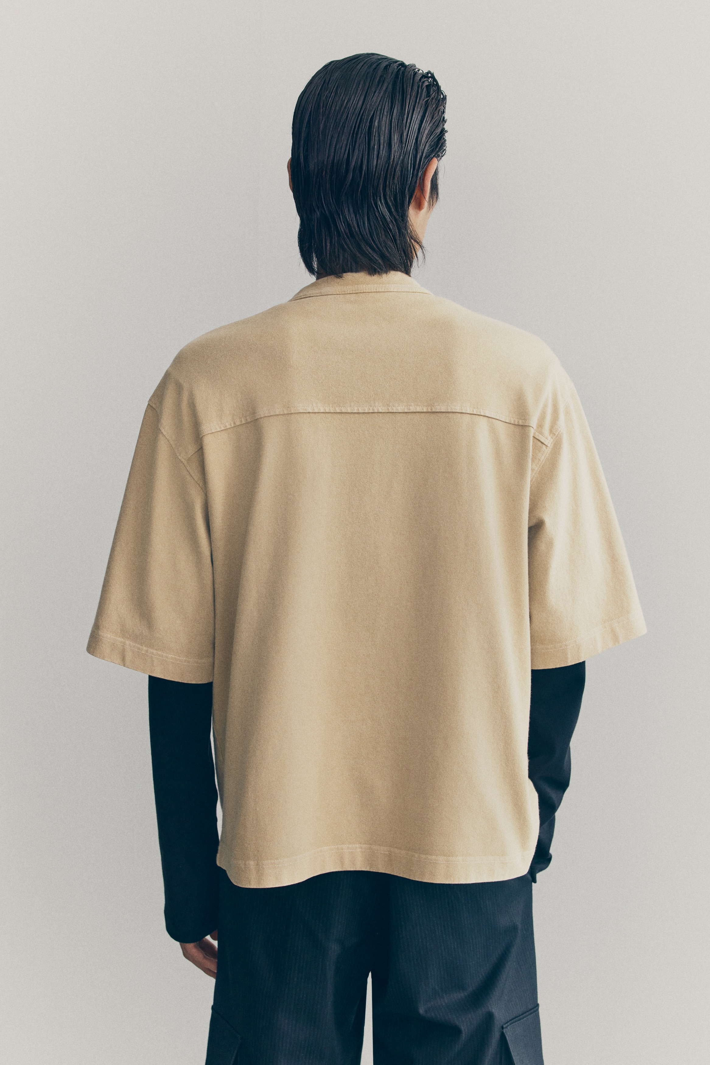 olivenbaum ludwigshafen öffnungszeiten Olivenbaum 18 Jahre, 170cm – toskanagartenshop main image 0