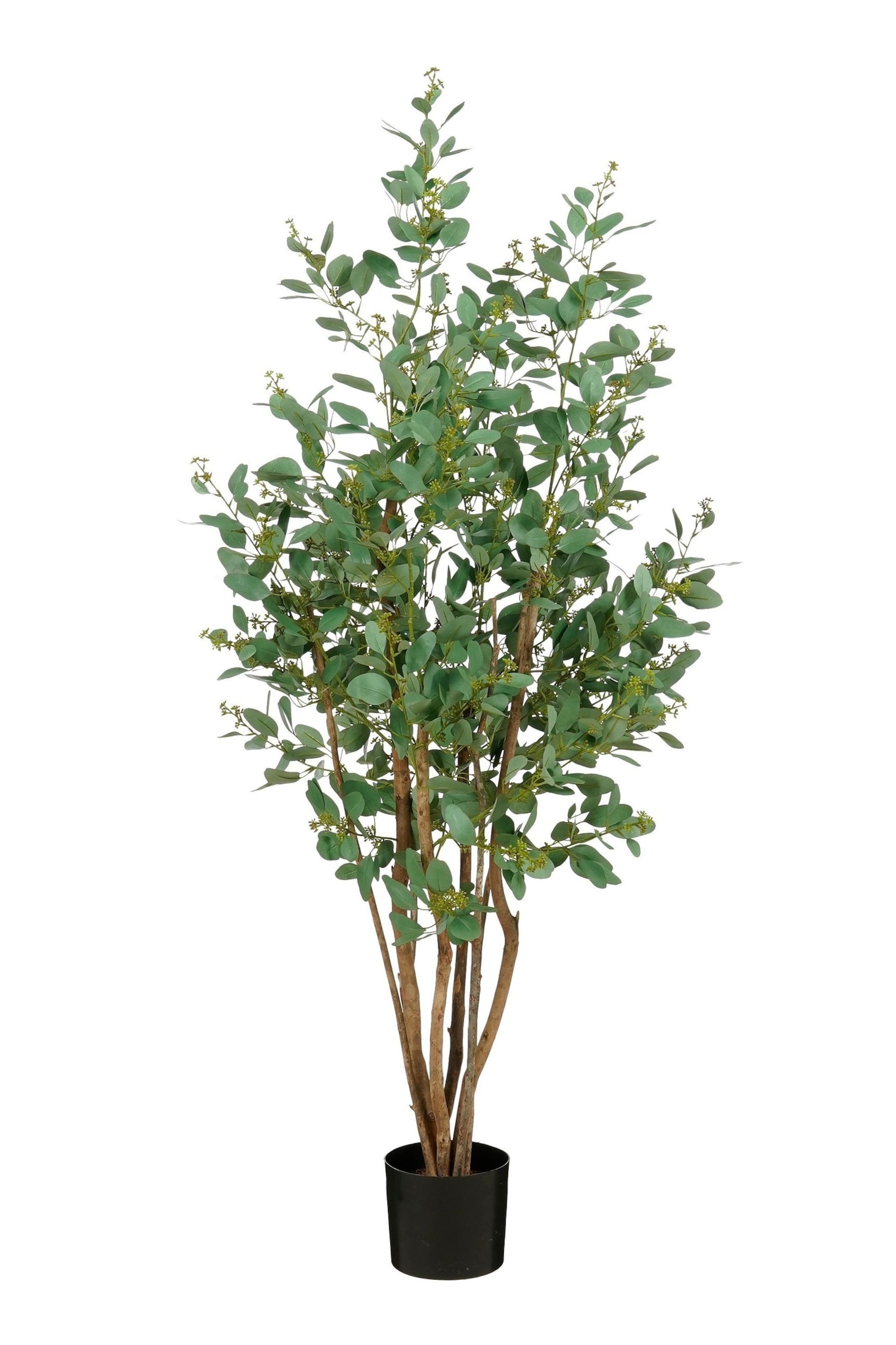 Se større billede: Kunstig Poppel-plante - Grøn - Mica Decorations - Home All | H&M DK 1