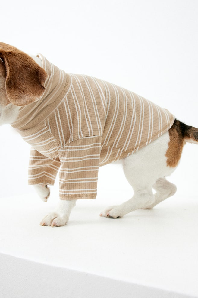 Polo-neck dog jumper - Beige/Striped/Black/Striped - 5