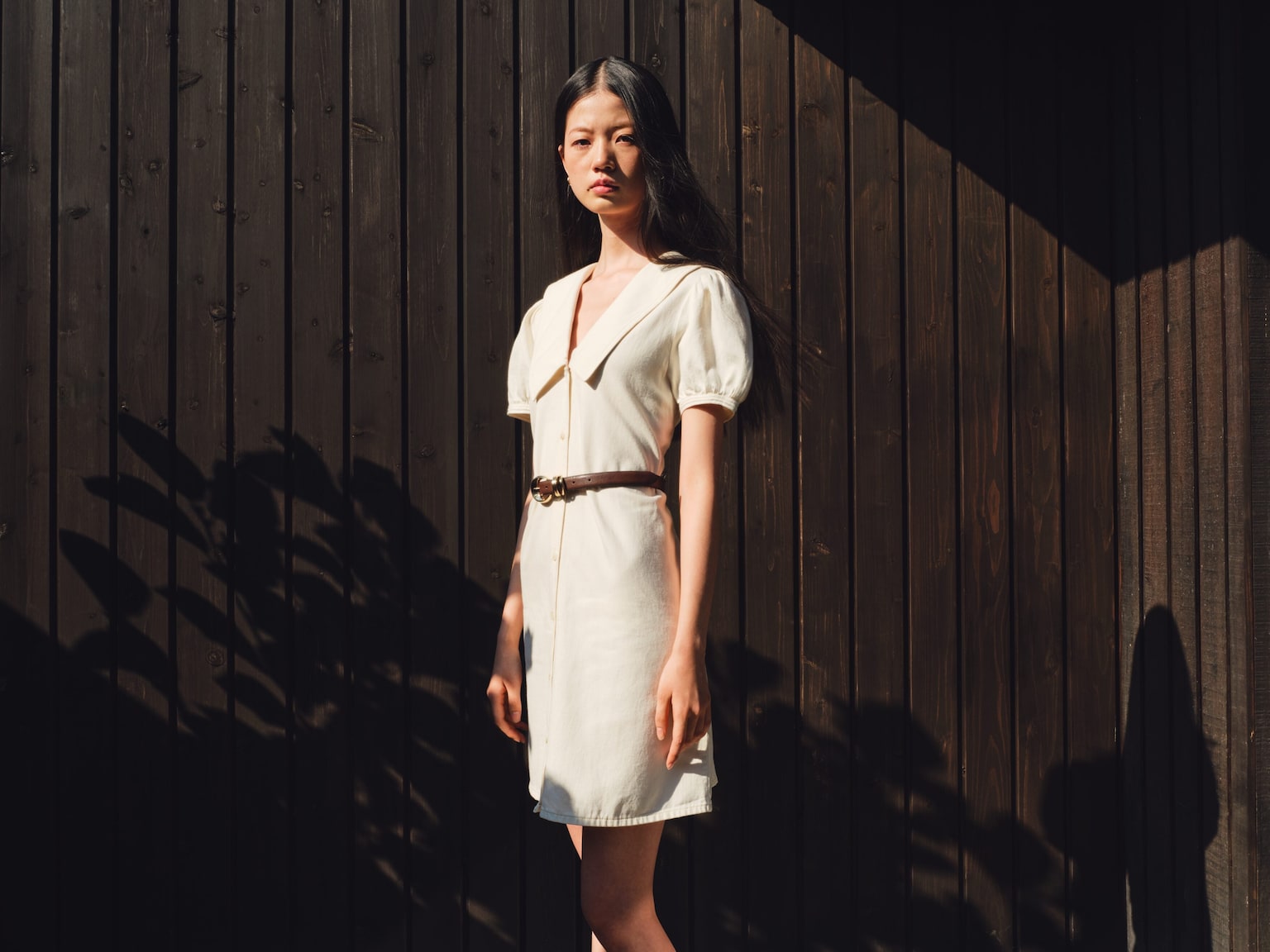 Collared denim dress - Cream/Denim blue - 3