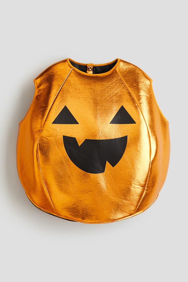 Verkleidungskostüm - Orange/Kürbis - 1