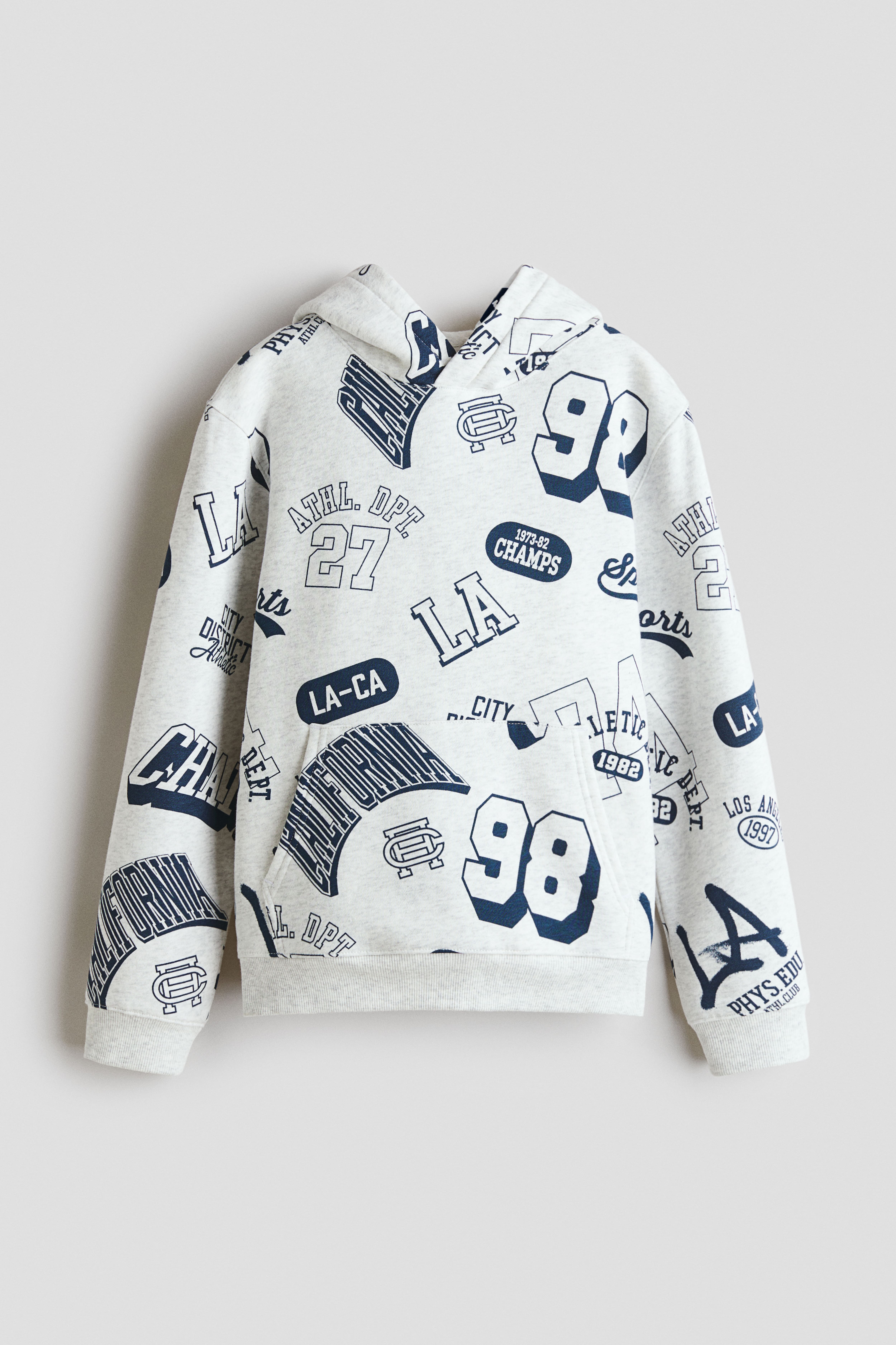 Printed Brushed-Inside Hoodie