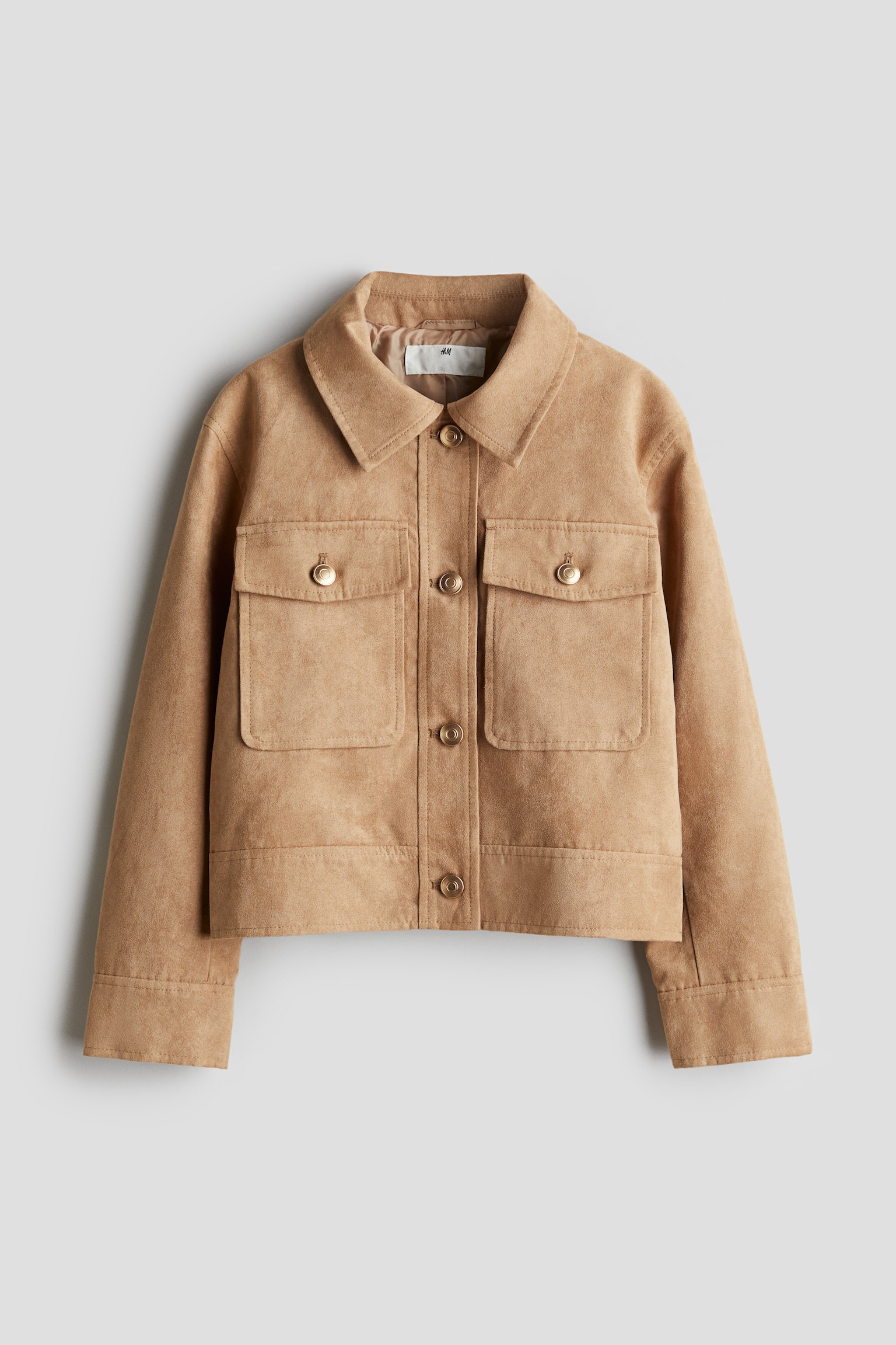 Napped jacket - Beige - 1