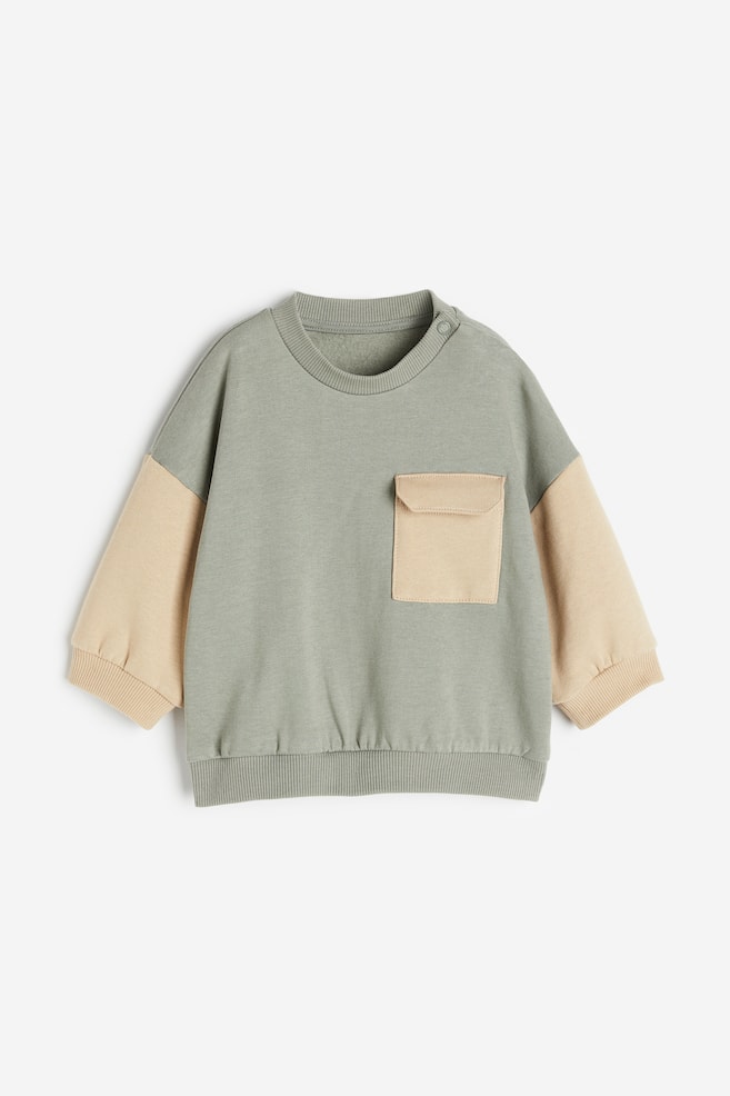 Cotton sweatshirt - Light khaki green/Beige/Light beige/Block-coloured/Light beige/Dinosaurs/Light beige/Animals/dc/dc - 1