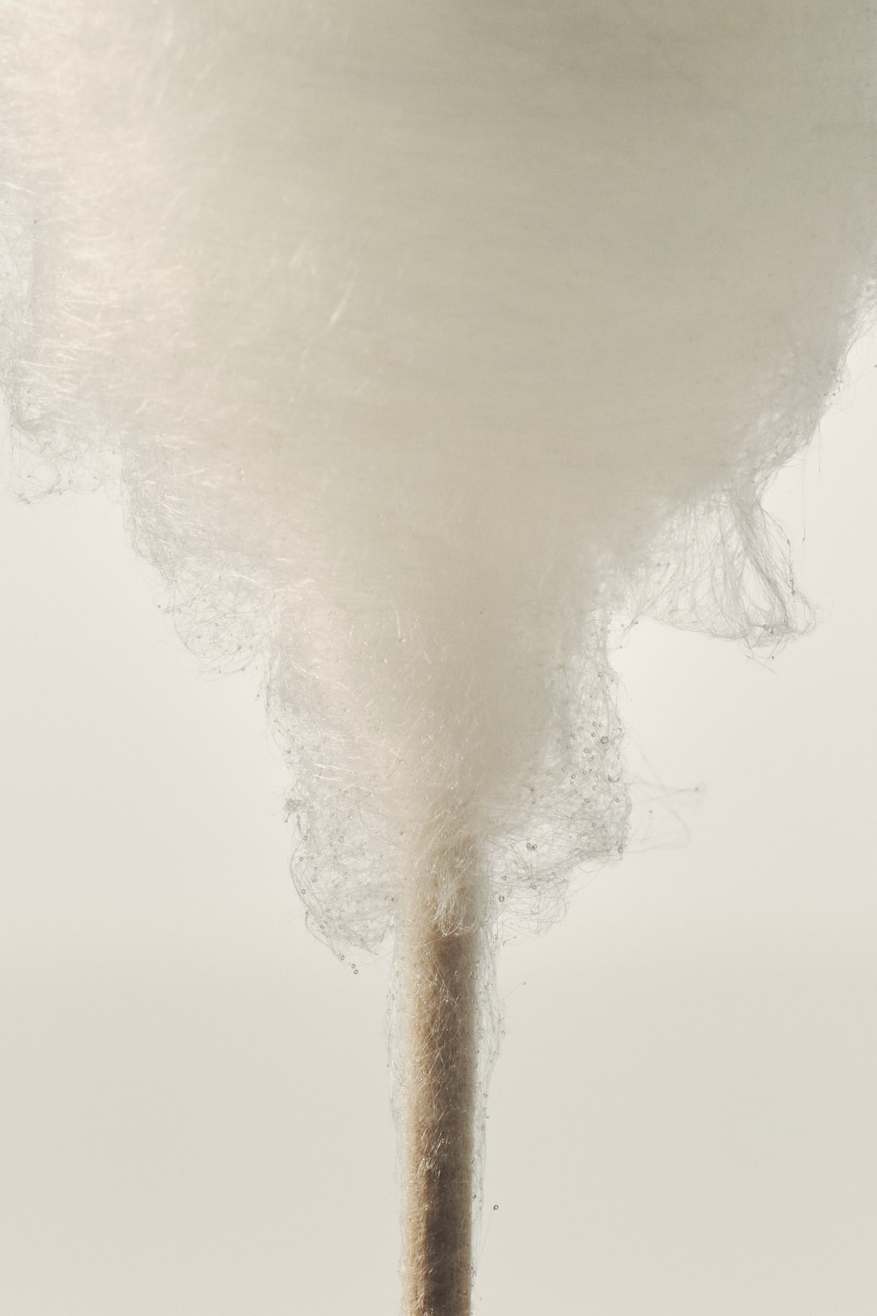 Eau de Toilette - image 3