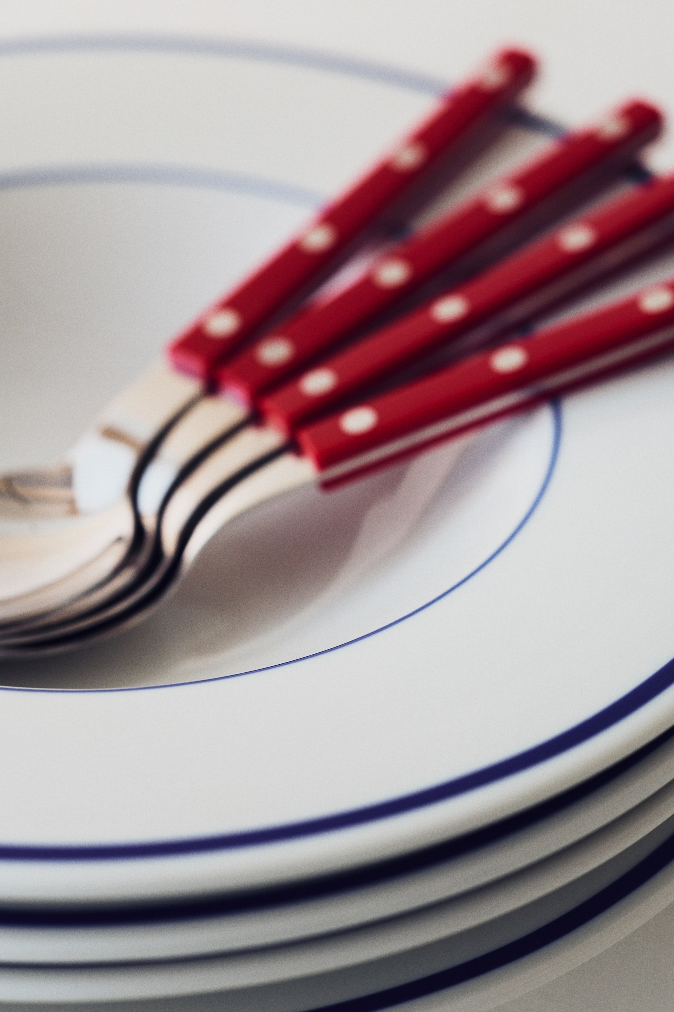 View larger image: White plates with concentric blue rings are stacked, topped with several pieces of cutlery. The cutlery features red handles with white polka dots and rests diagonally across the top plate.