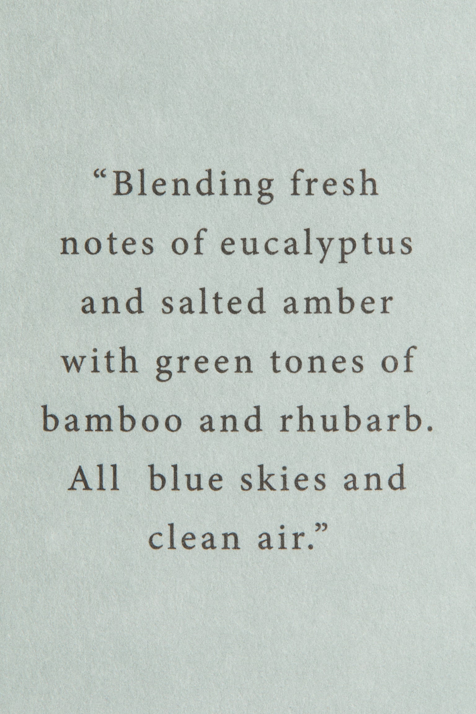 Reed diffuser - Eucalyptus Mist/Vanilla Patchouli/Minted Fig/Lemon Verde/Sequoia Santal - 5
