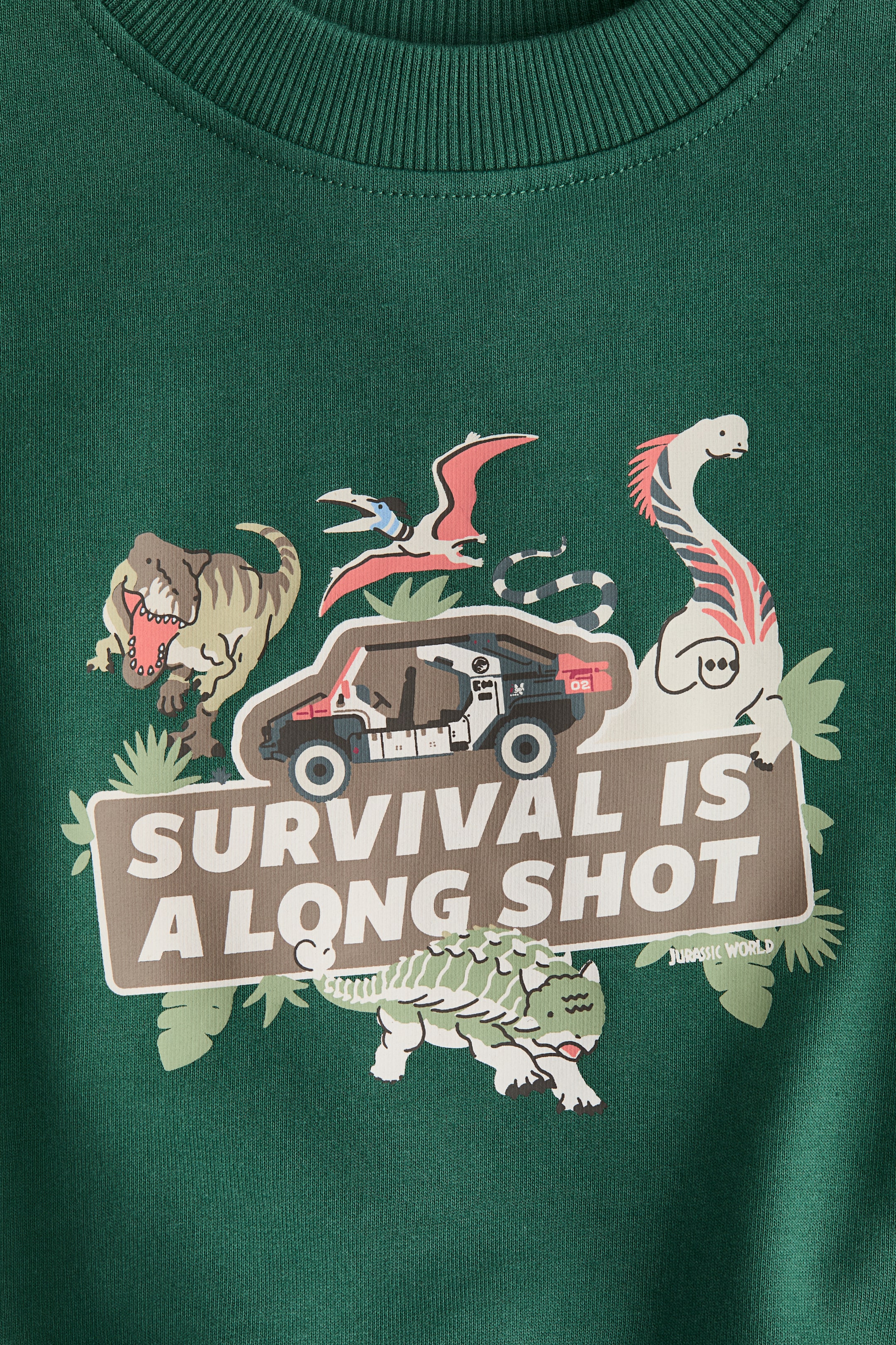 拡大画像を表示: プリントデザインスウェットシャツ - グリーン／ジュラシック・ワールド | H&M JP 6