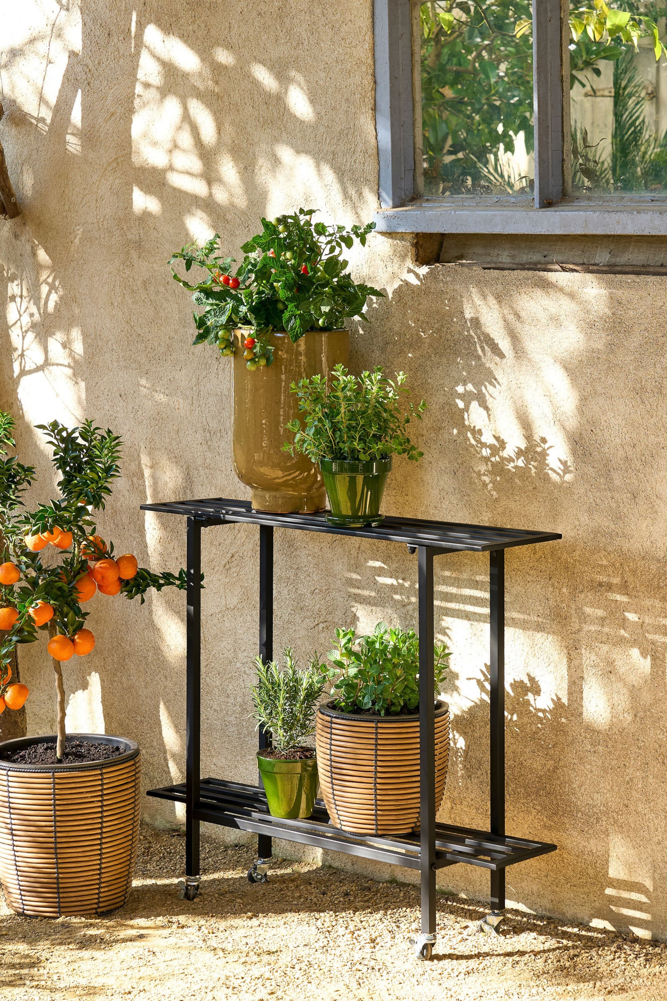 Ver imagem maior: Um suporte para plantas de metal preto, com dois níveis, está ligeiramente inclinado para a esquerda, apresentando prateleiras ripadas que sustentam vários vasos de plantas e repousa sobre rodas giratórias.
