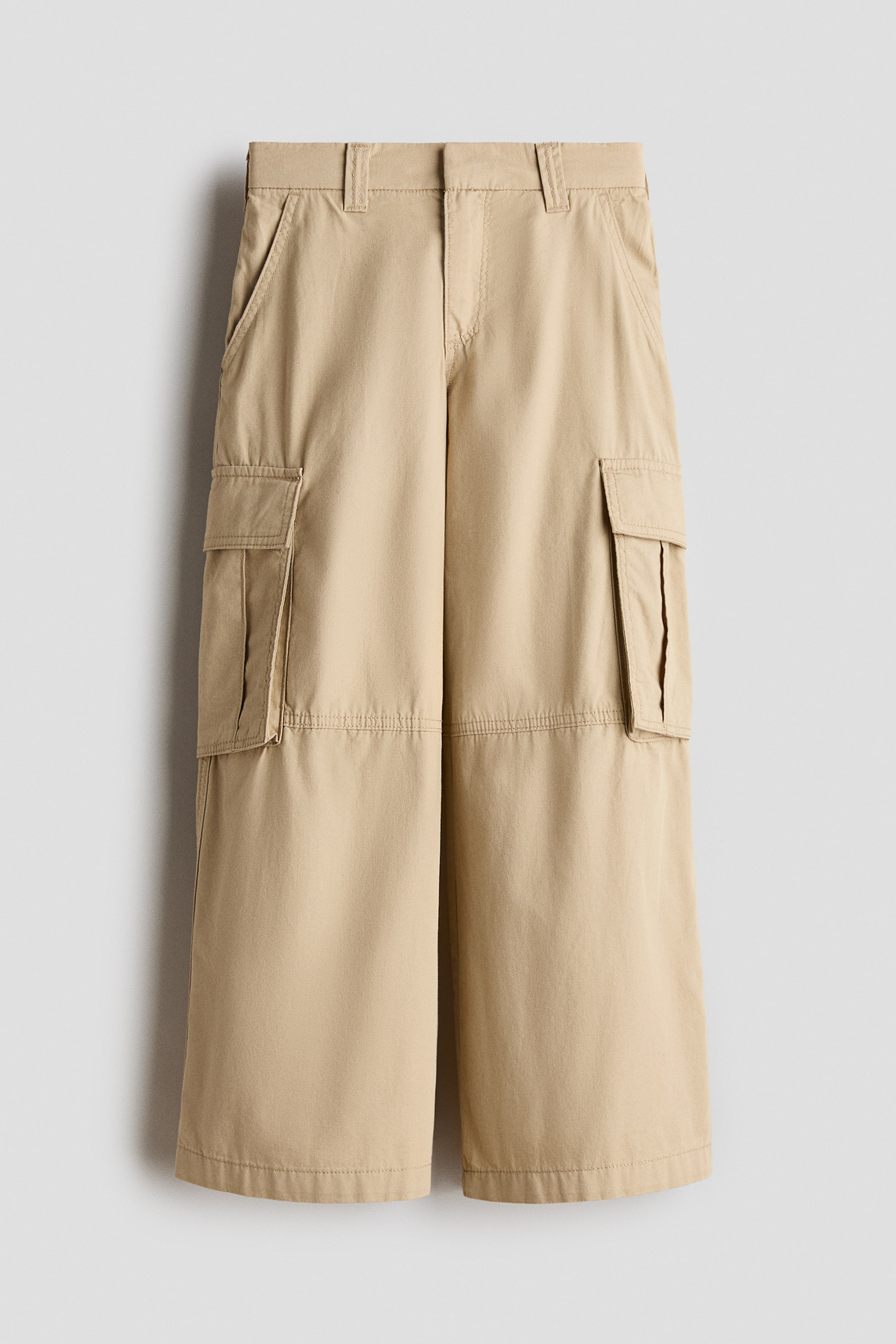 查看大圖: 正面：卡其色工装裤采用平腰带设计，有裤带圈、两个斜插的臀部口袋以及两个大的带盖工装口袋，位于宽大且裁短的裤腿两侧。