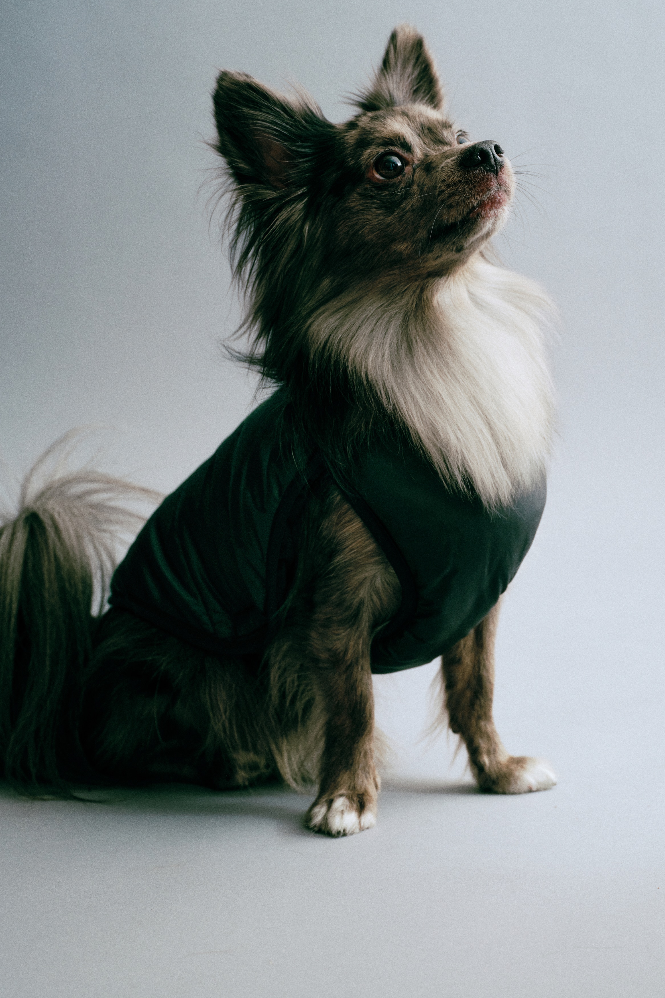 Siyah kapitone kÃ¶pek puff yelek, yan profilden dÃ¼z Åekilde sergileniyor; dikey kanal dikiÅleri ve hafif bir parlaklÄ±k gÃ¶steriyor. Yelekte tÃ¼m kenarlar boyunca kumaÅ biye, dairesel bir bacak aÃ§Ä±klÄ±ÄÄ± ve Ã§Ä±tÃ§Ä±tlÄ± kapama detayÄ±na sahip bir karÄ±n kayÄ±ÅÄ± bulunuyor.