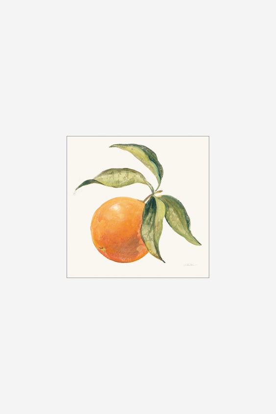 Дикое Яблоко - Le Orange On Cream