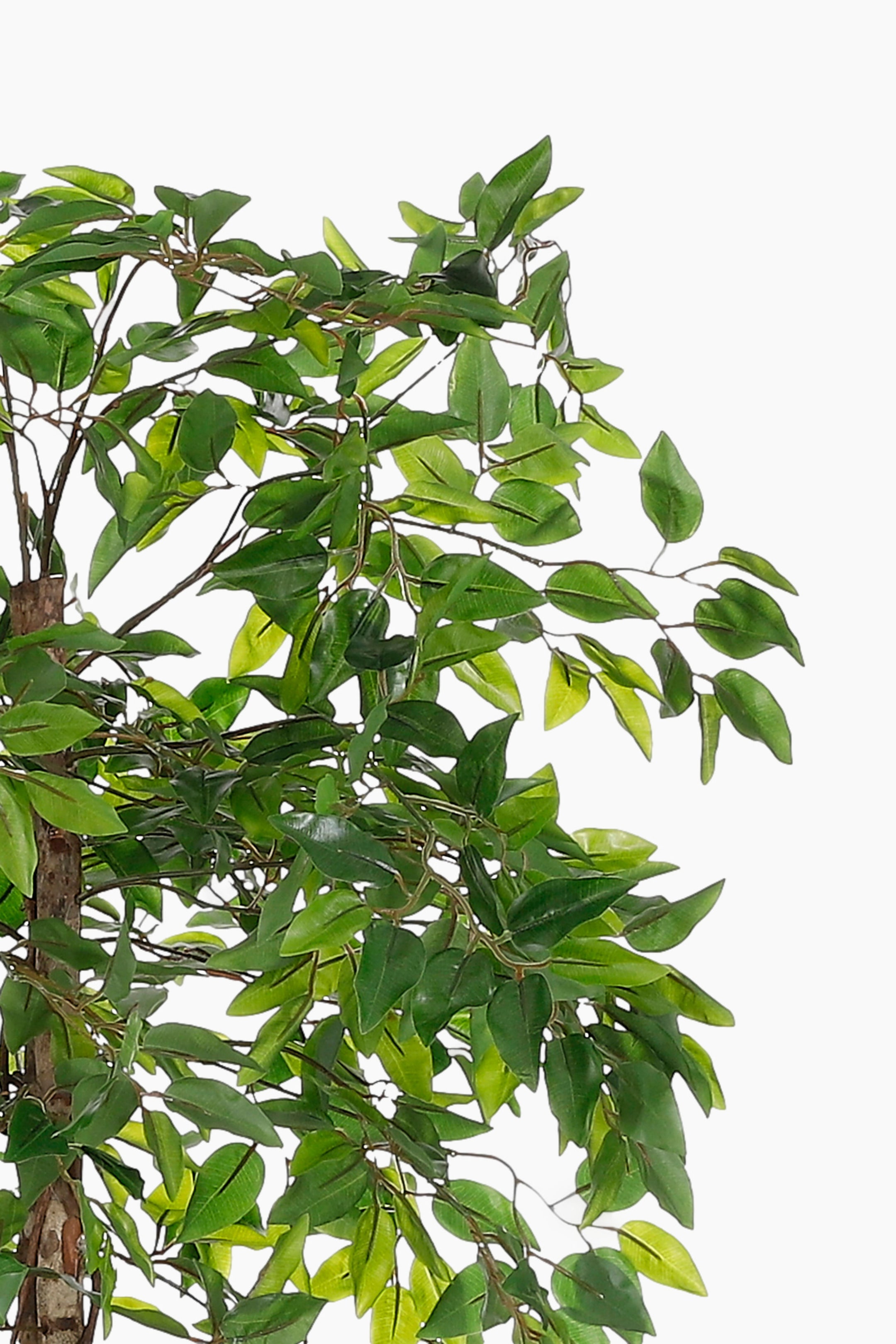 Zobacz większy obraz: Sztuczna roślina prezentuje tekstrurowany brązowy pień i gałęzie, gęsto pokryte owalnymi zielonymi liśćmi o różnych odcieniach, przedstawiona z lekko skierowanego na lewo kąta.