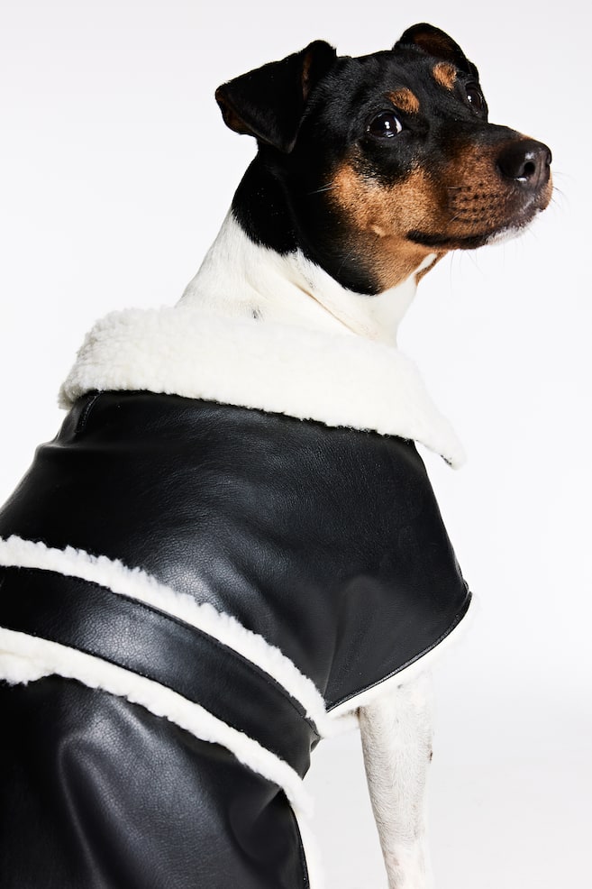 Teddy-lined dog jacket - Black - 6