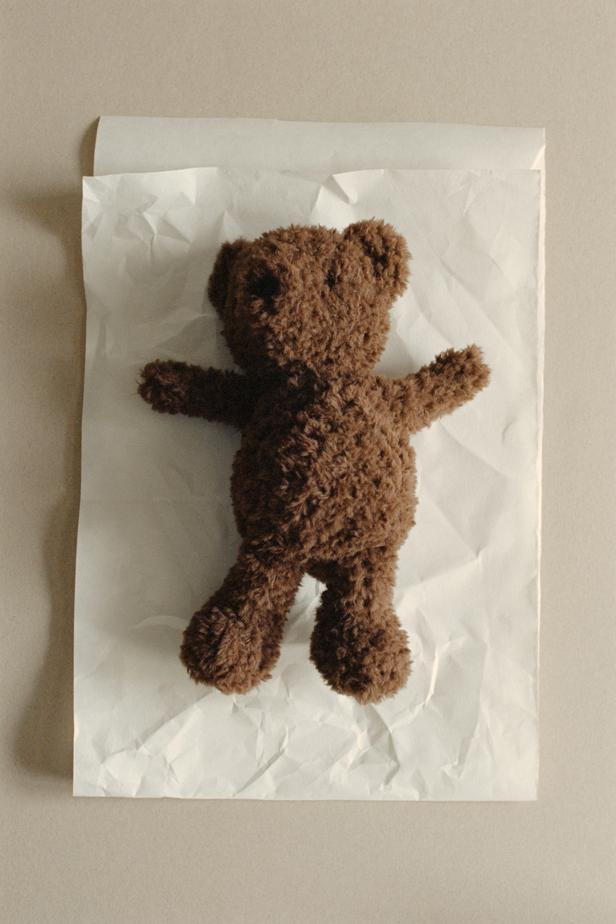 fluffyteddy & L'ours câlin【はちみつset】 fluffyteddy & L'ours câlin【はちみつset】 fluffyteddy & L