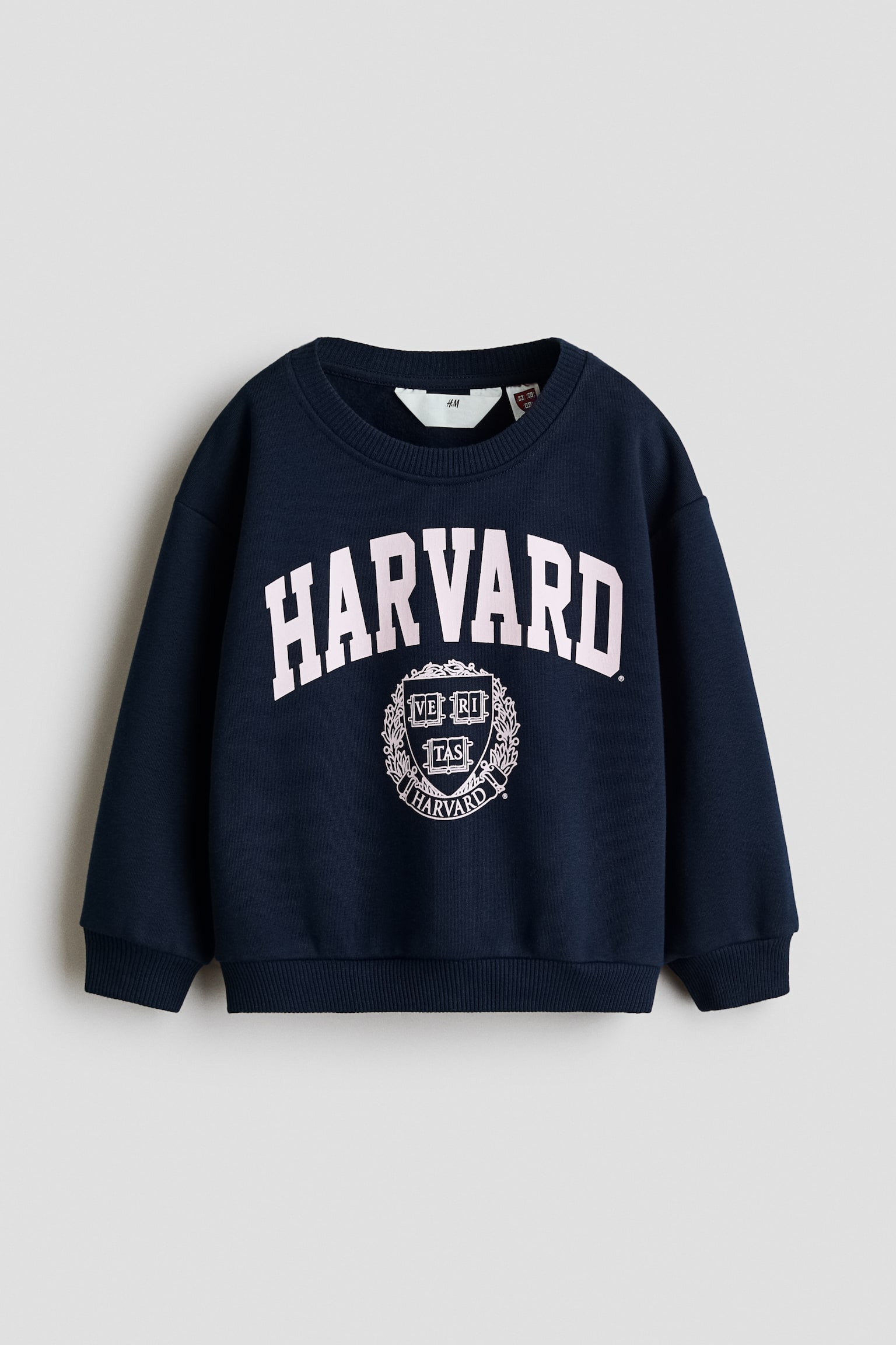 圖案刷毛內裡運動衫 - Dark blue/Harvard University/Light red/Hello Kitty/白色/Hello Kitty/Light grey/K-Pop Demon Hunters/淺藍色/星際寶貝/深灰紫色/Hello Kitty/粉紅色/CapyFun/混灰色/米妮/灰紫色/蓋比的娃娃屋