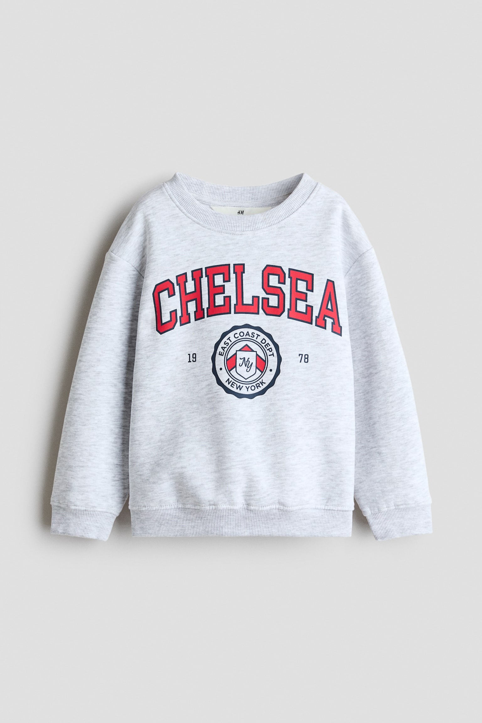 Áo nỉ in hình mặt trái chải xù - Màu xám nhạt đốm/Chelsea/Màu be/Khủng long - 1