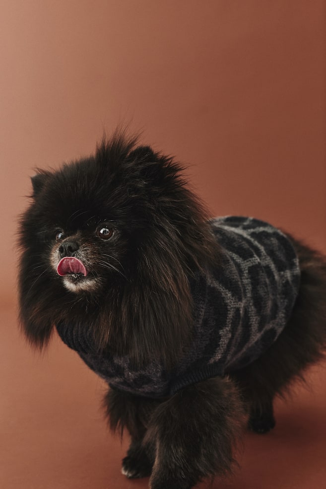 Pull jacquard pour chien-Noir/imprimé léopard - 6