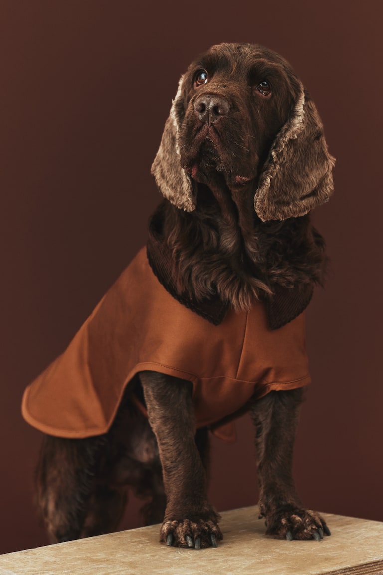 Waxed dog coat
