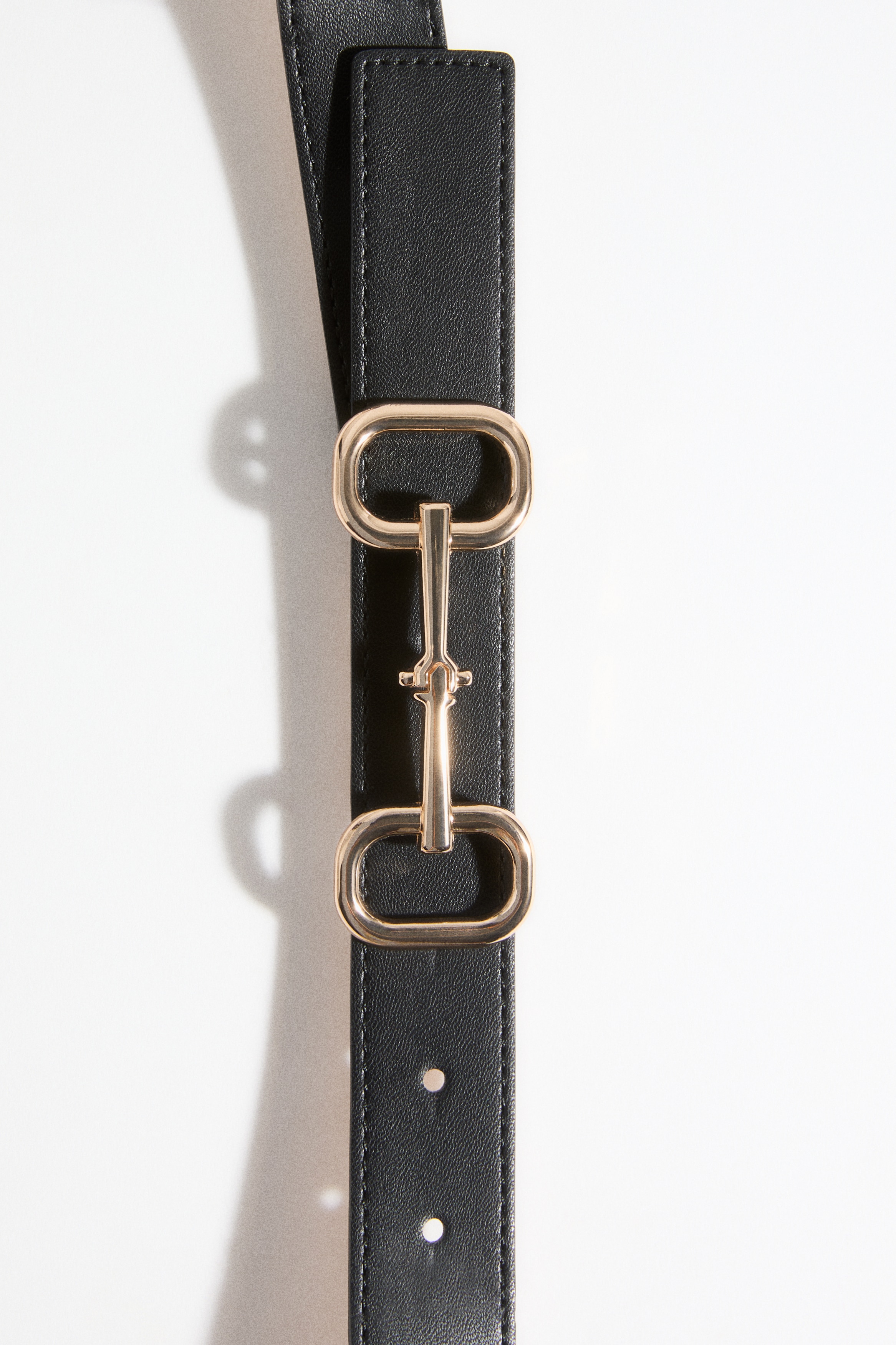 Coated Belt from H&M - $19.99
