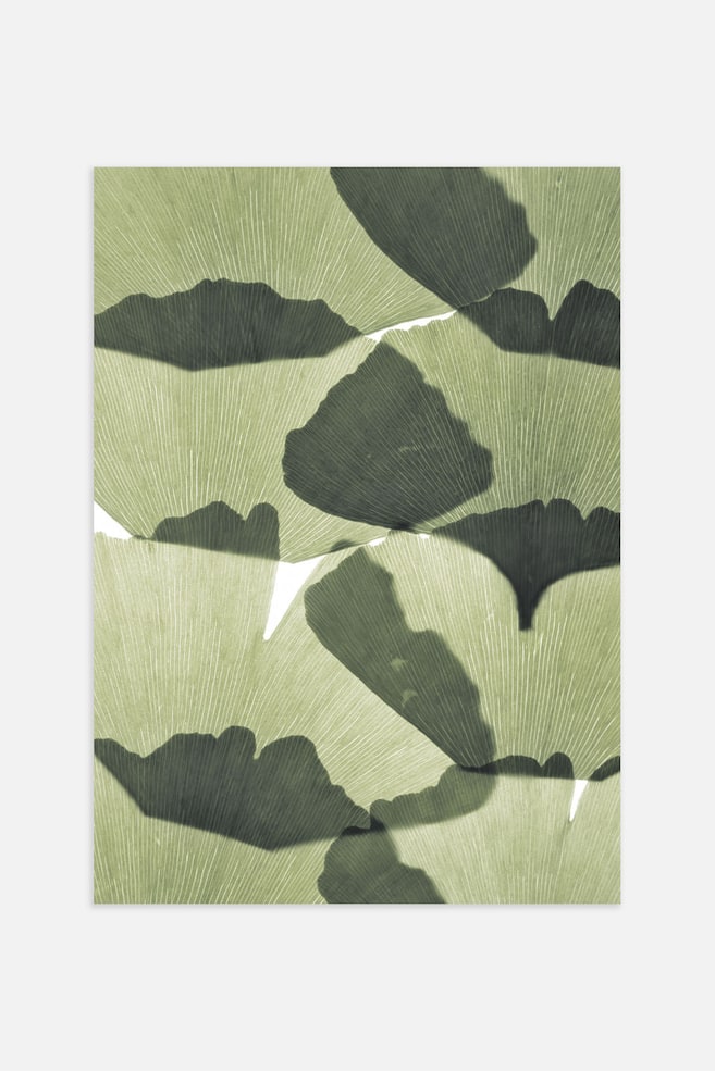 Ginkgo Leaves Poster - Grön - 1