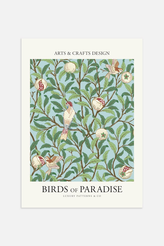 Birds Of Paradise Green Poster - Green - 1