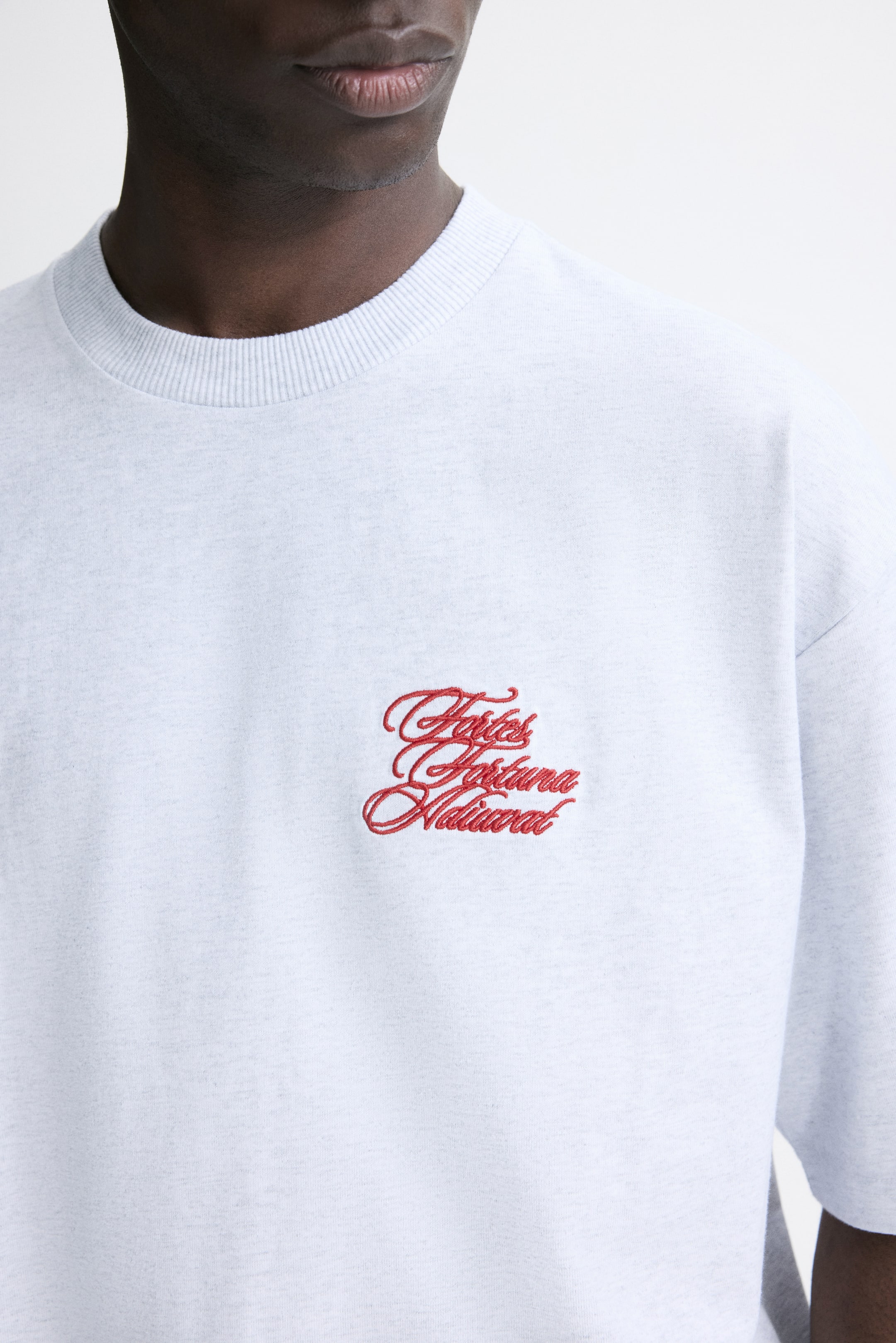 View larger image: Loose-Fit T-Shirt - Gray melange/Fortes Fortuna - Men | H&M US 2